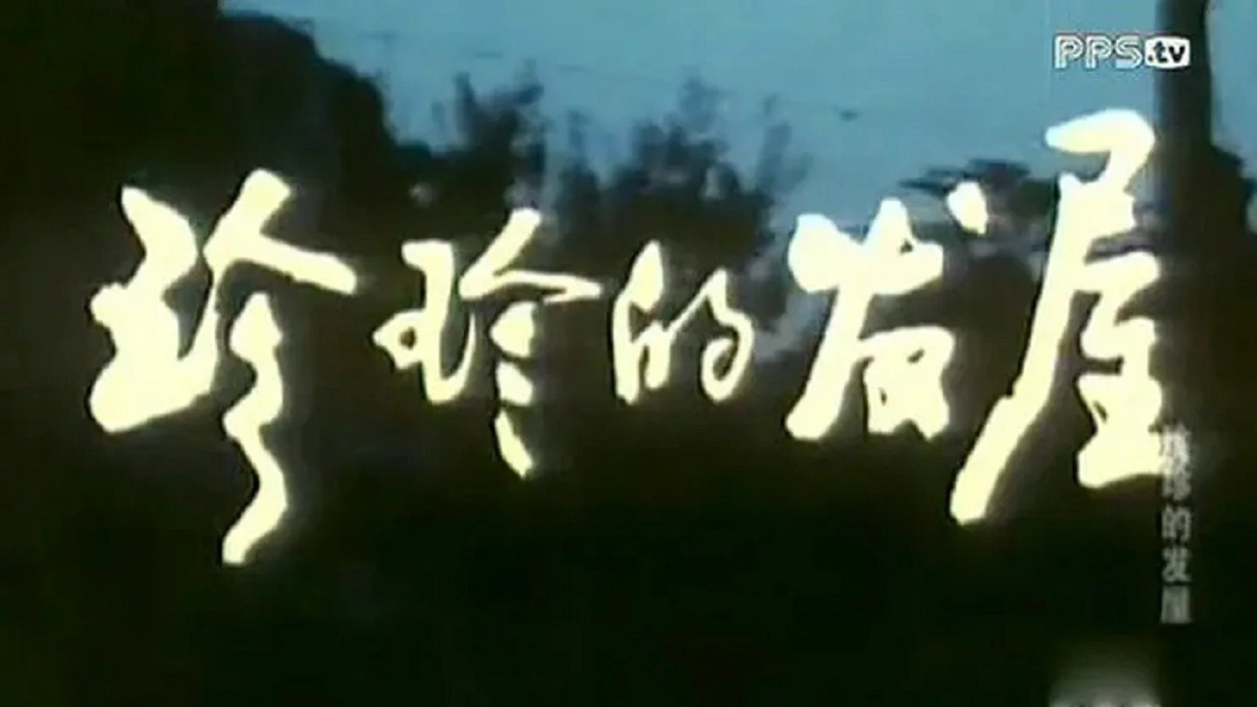 Zhenzhen de fawu