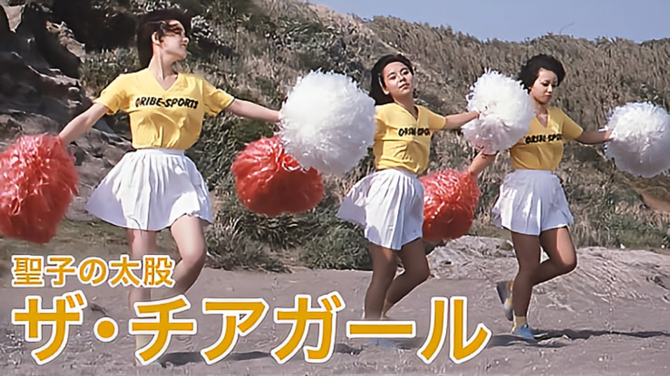 Seiko no futomomo: Cheergirl