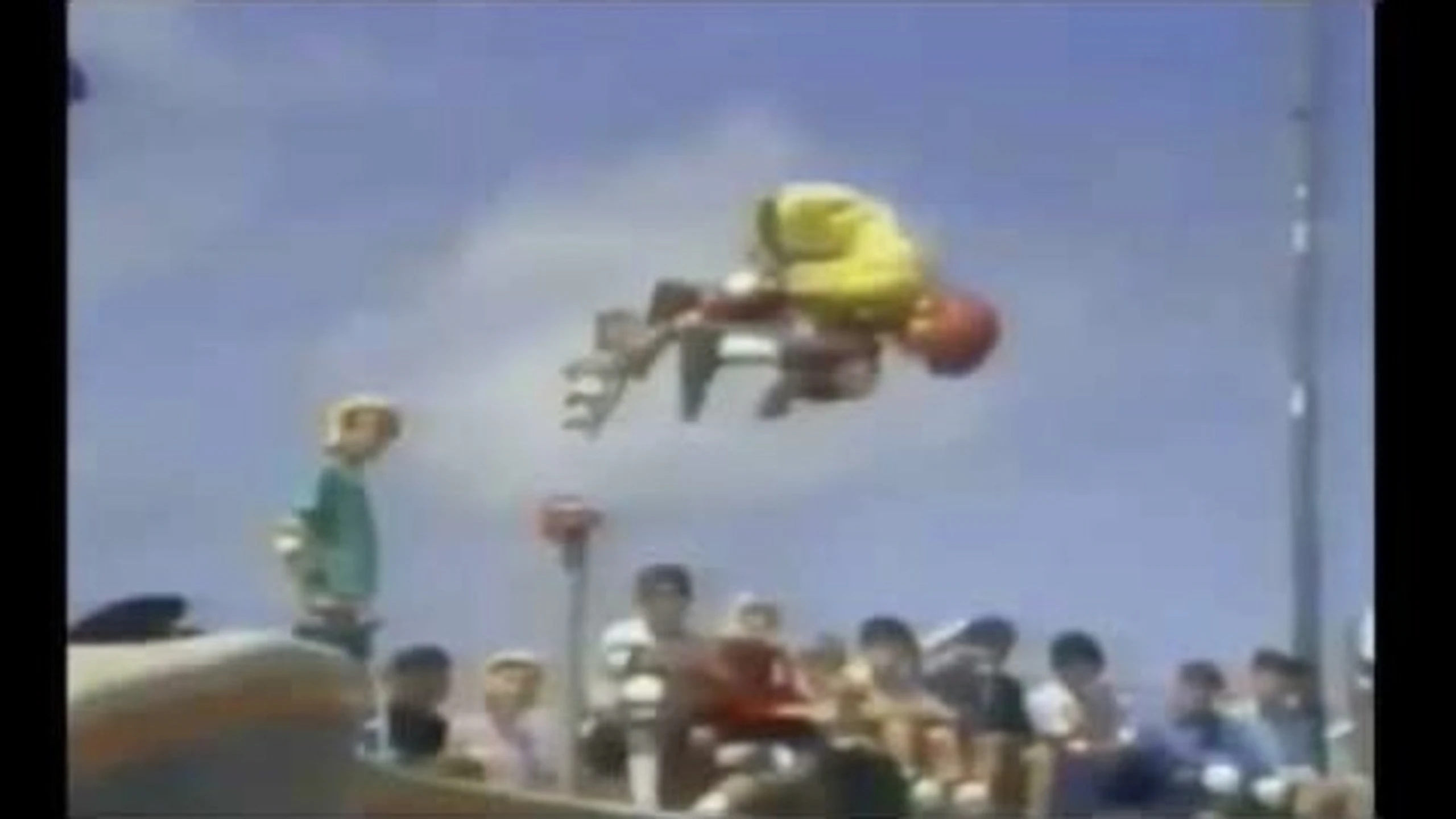Powell Peralta: The Bones Brigade Video Show