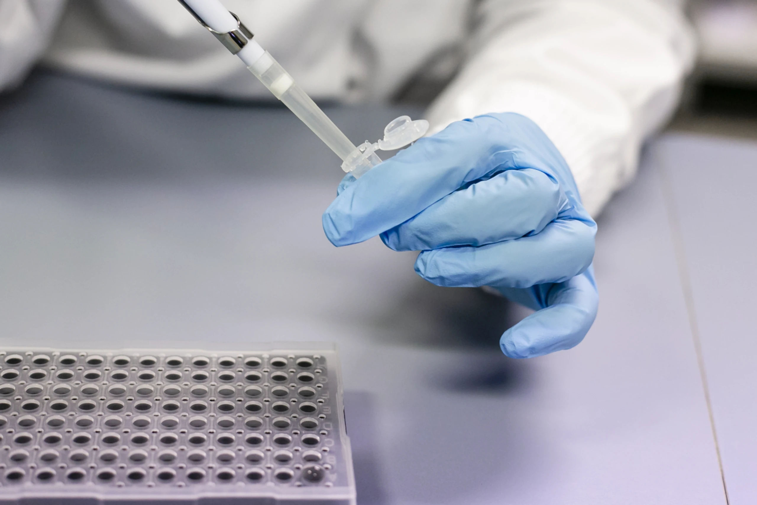 Grazer Forschende testeten Substanz aus australischem Meerschwamm