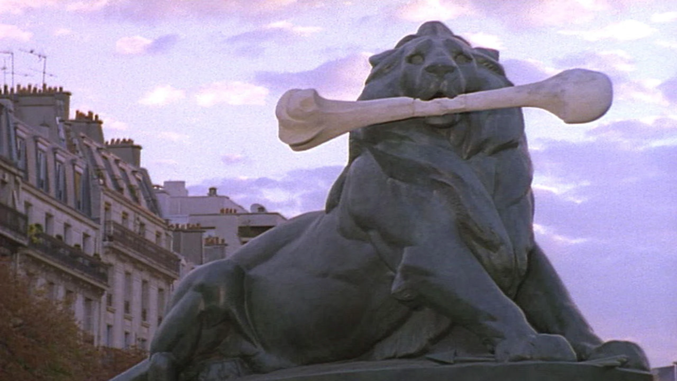 The Vanishing Lion