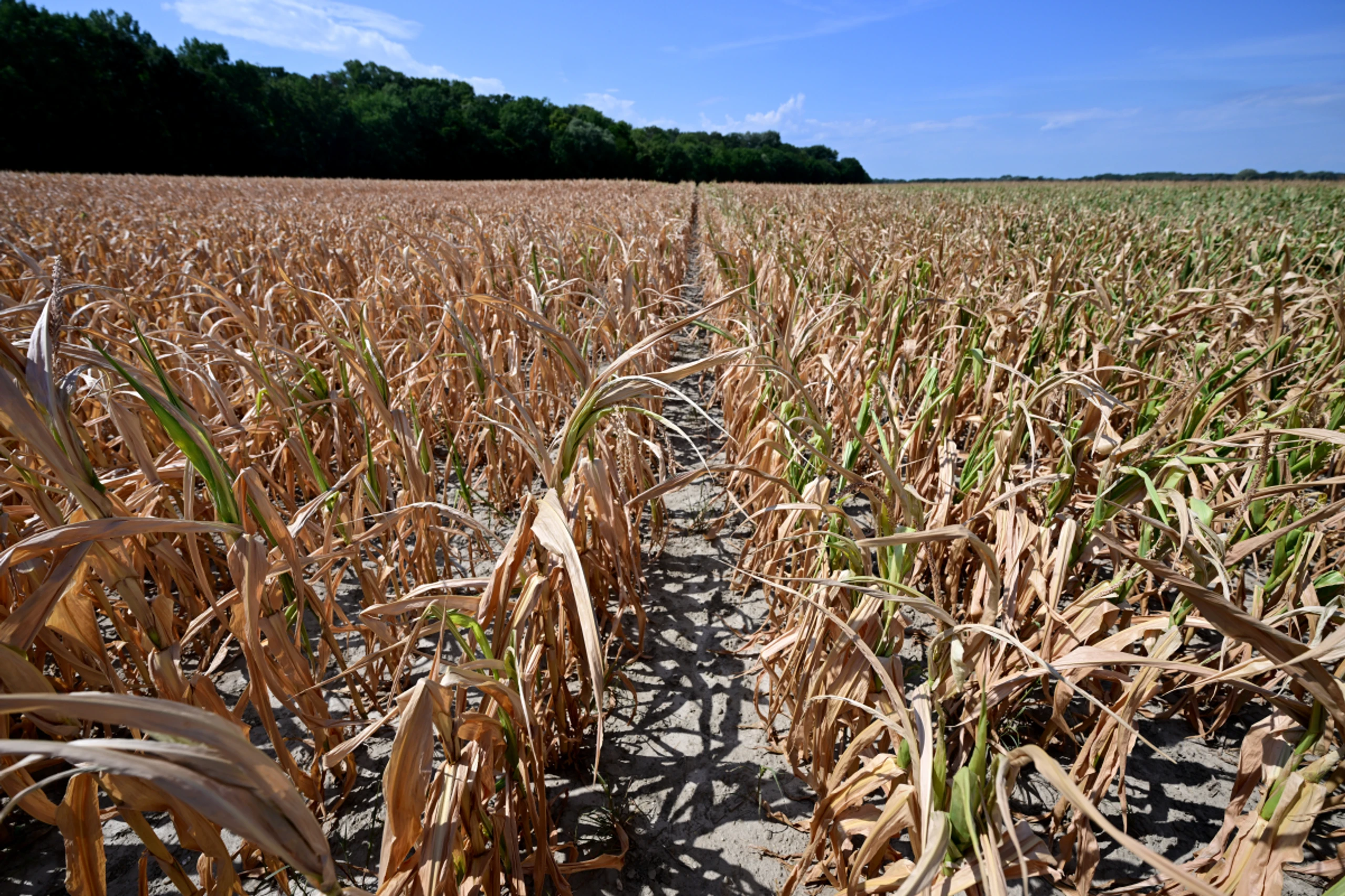 BOKU-Forschende sehen nicht nur die Landwirtschaft gefordert