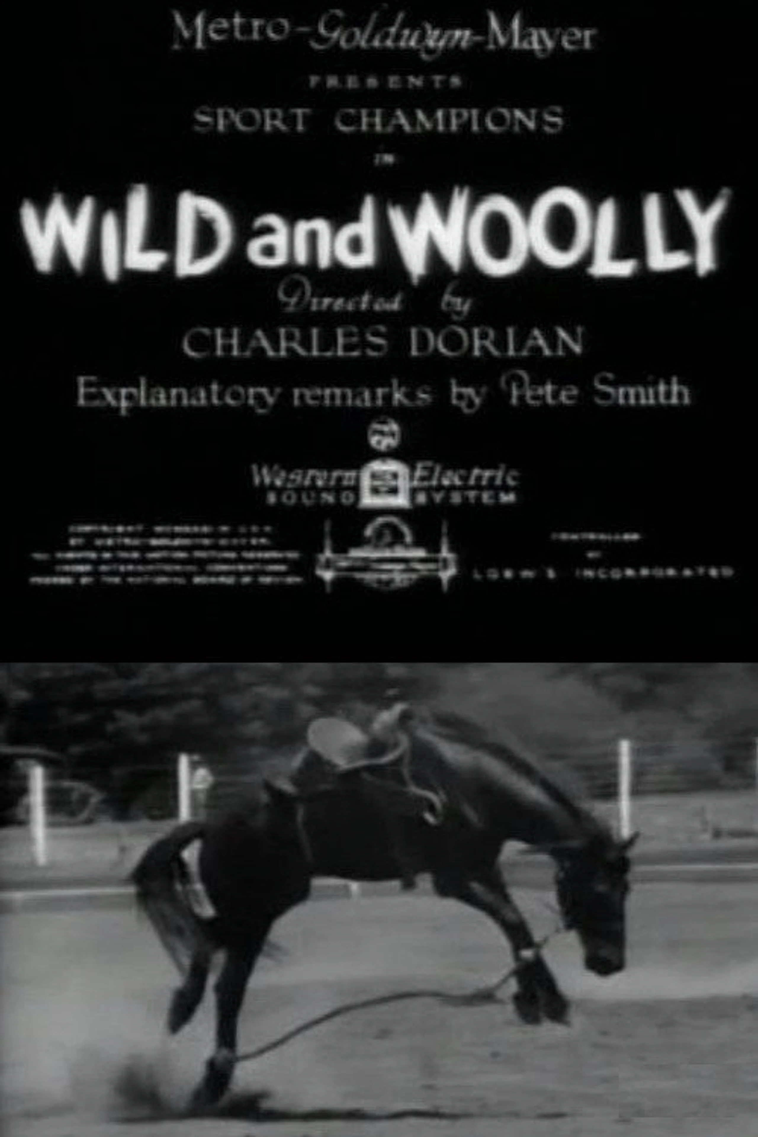 Wild and Woolly
