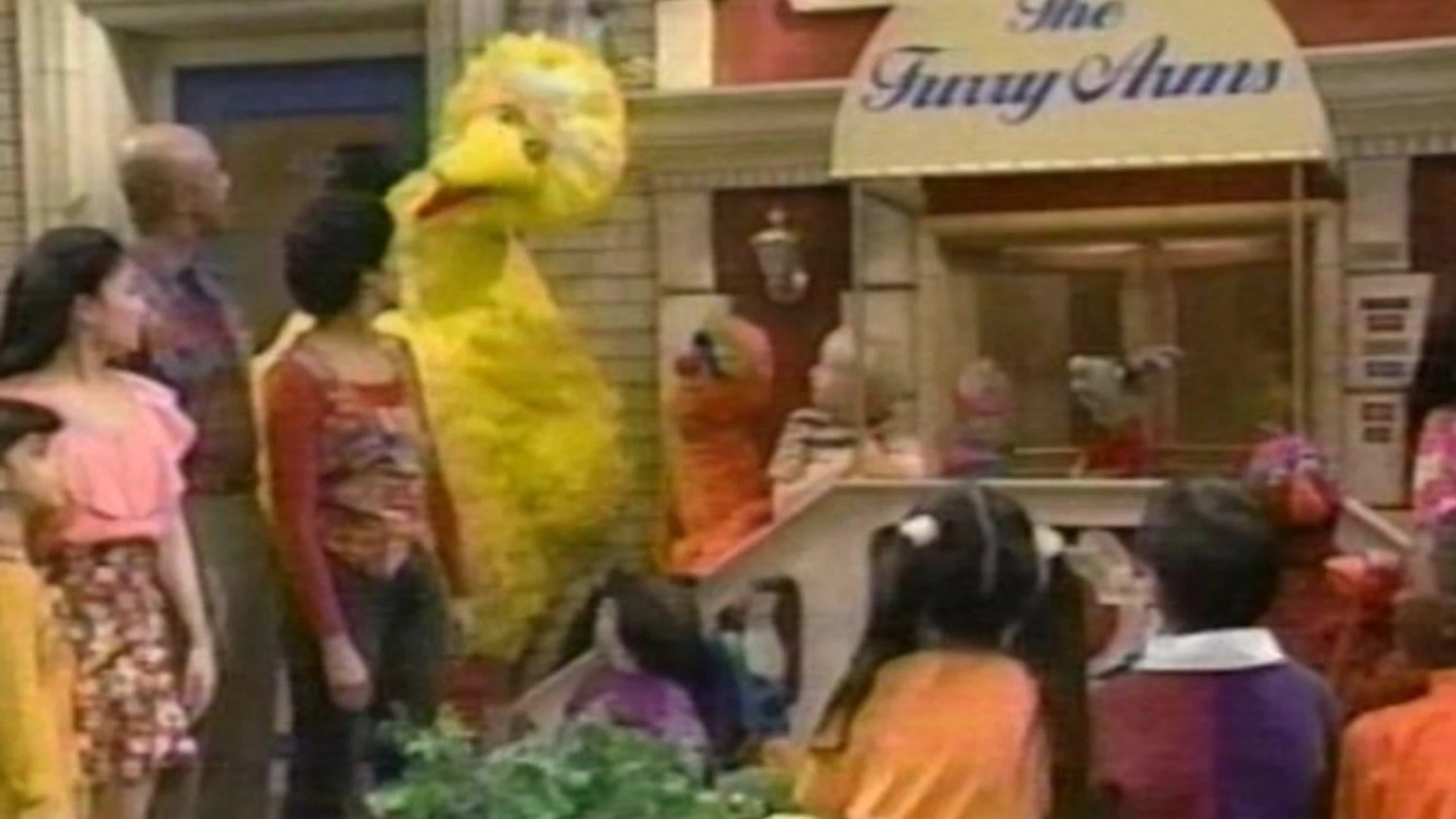 Sesame Street All-Star 25th Birthday: Stars and Street Forever!