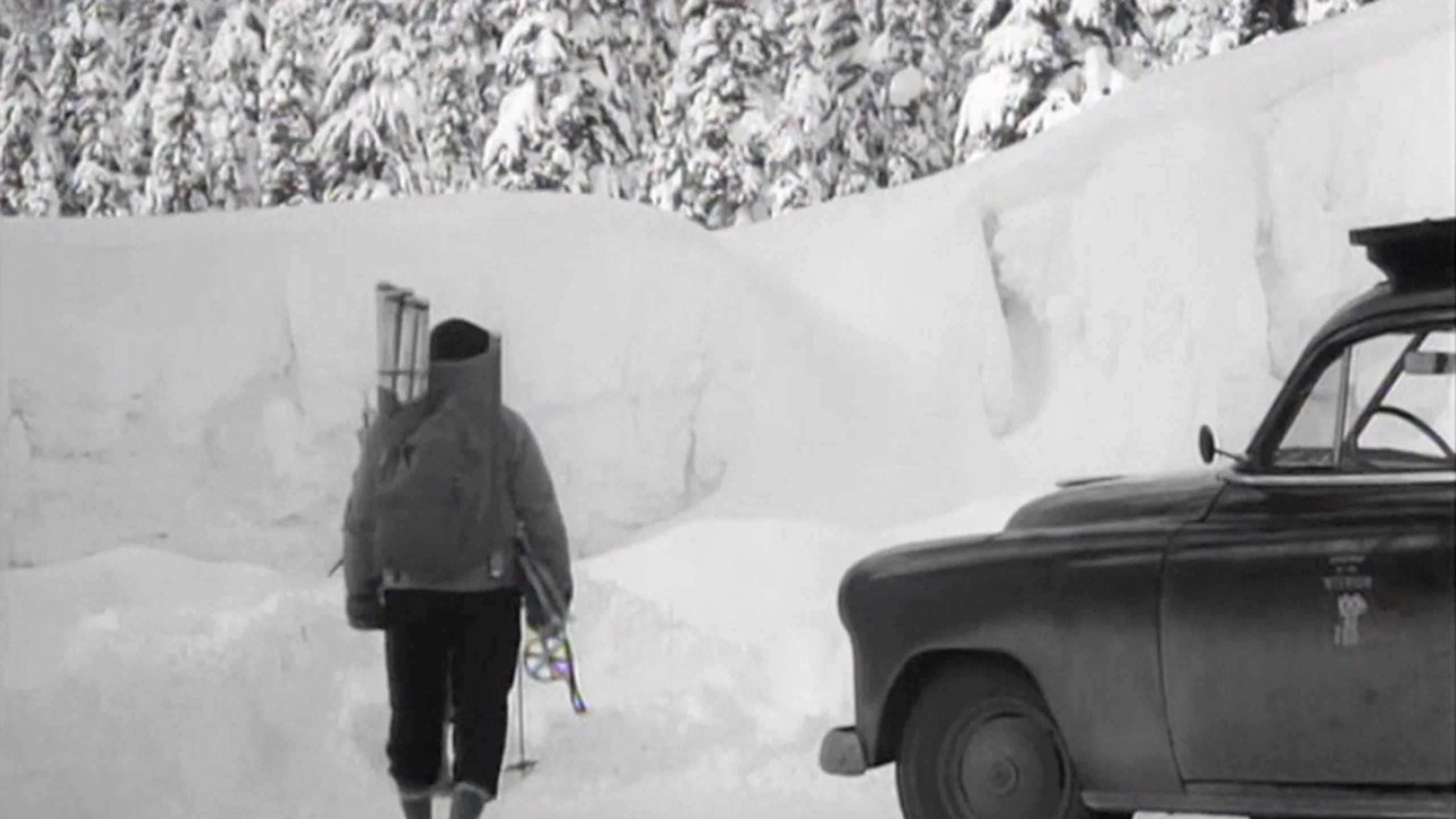 White Peril
