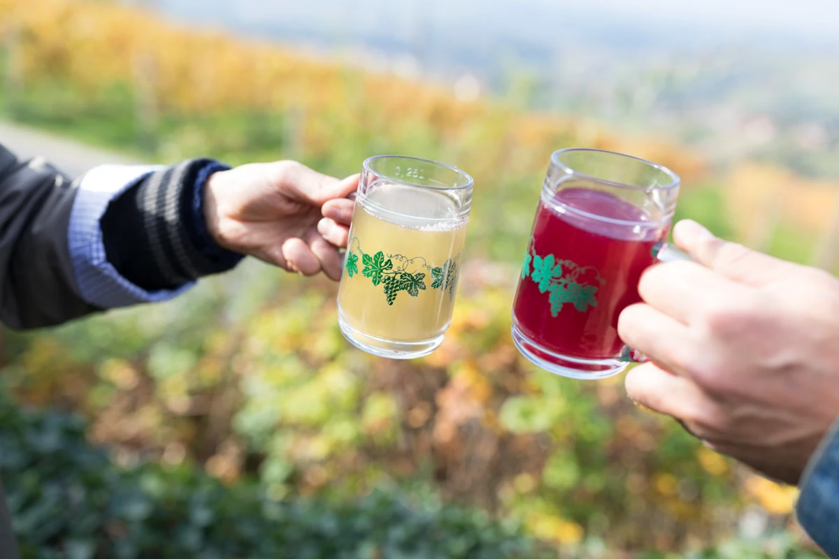Zwei Personen stoßen im Weinberg mit Gläsern voller Sturm und rotem Saft an.