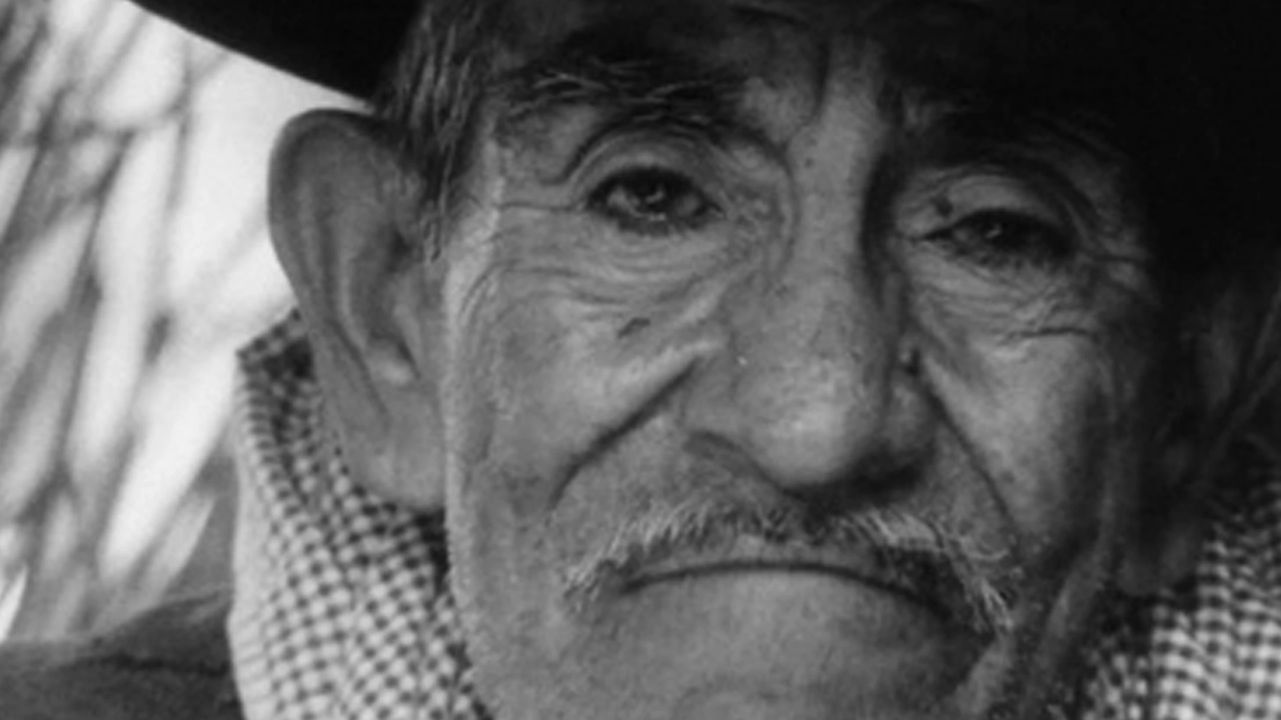 El camino hacia la muerte del viejo Reales