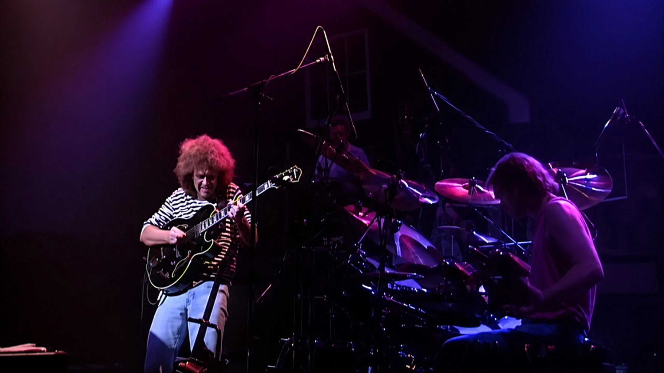 Pat Metheny Group: We Live Here Live In Japan