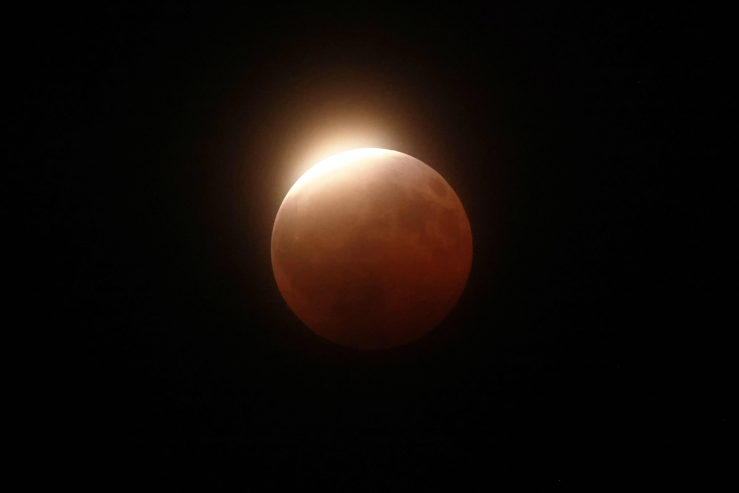 Bilder des Tages