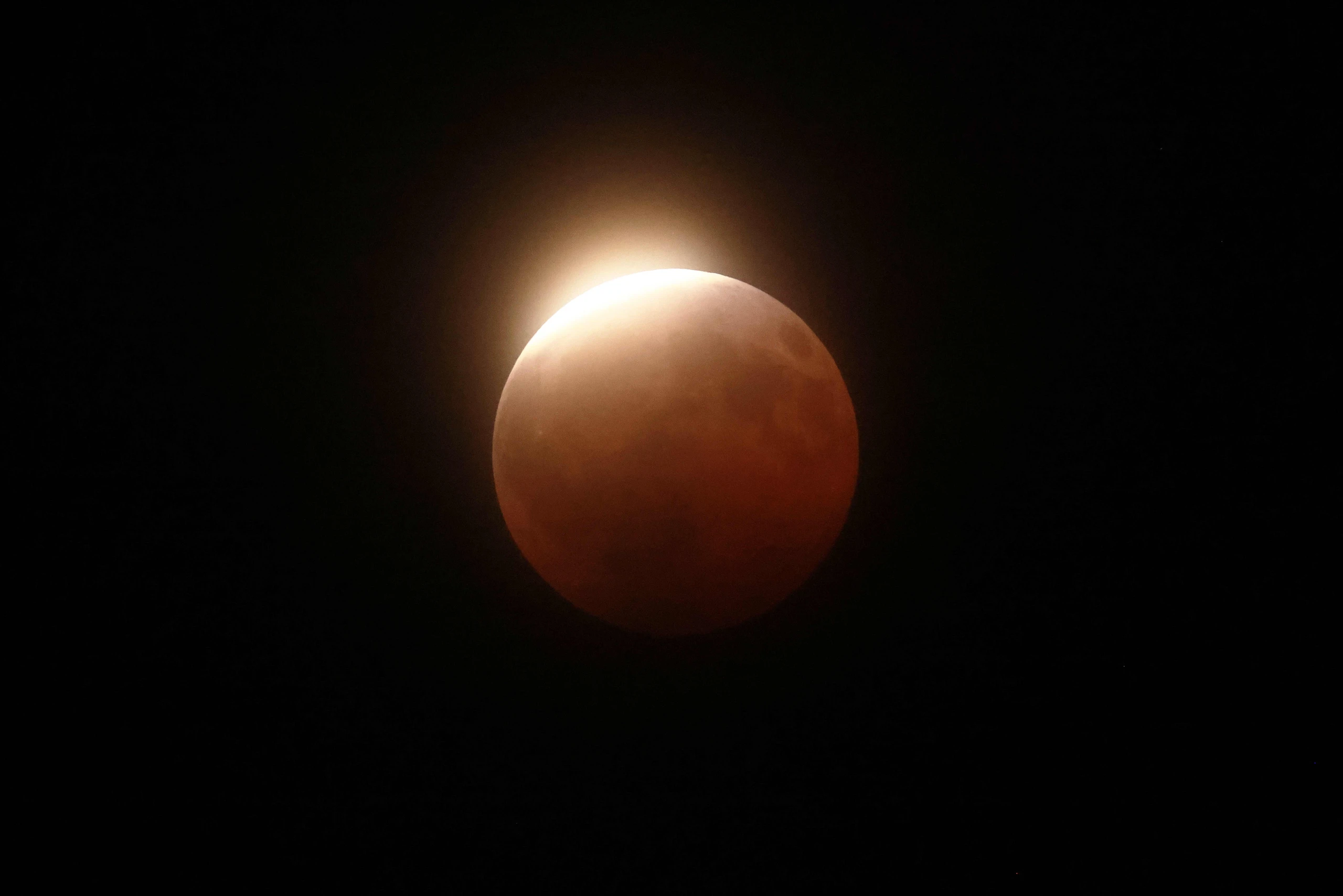 Bilder des Tages