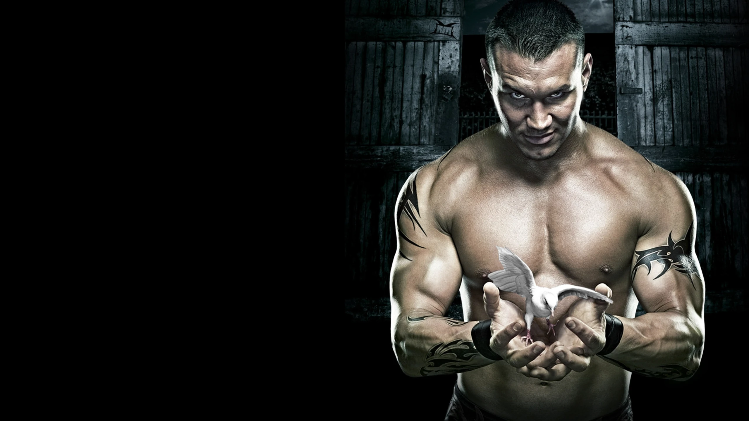 WWE No Mercy 2007