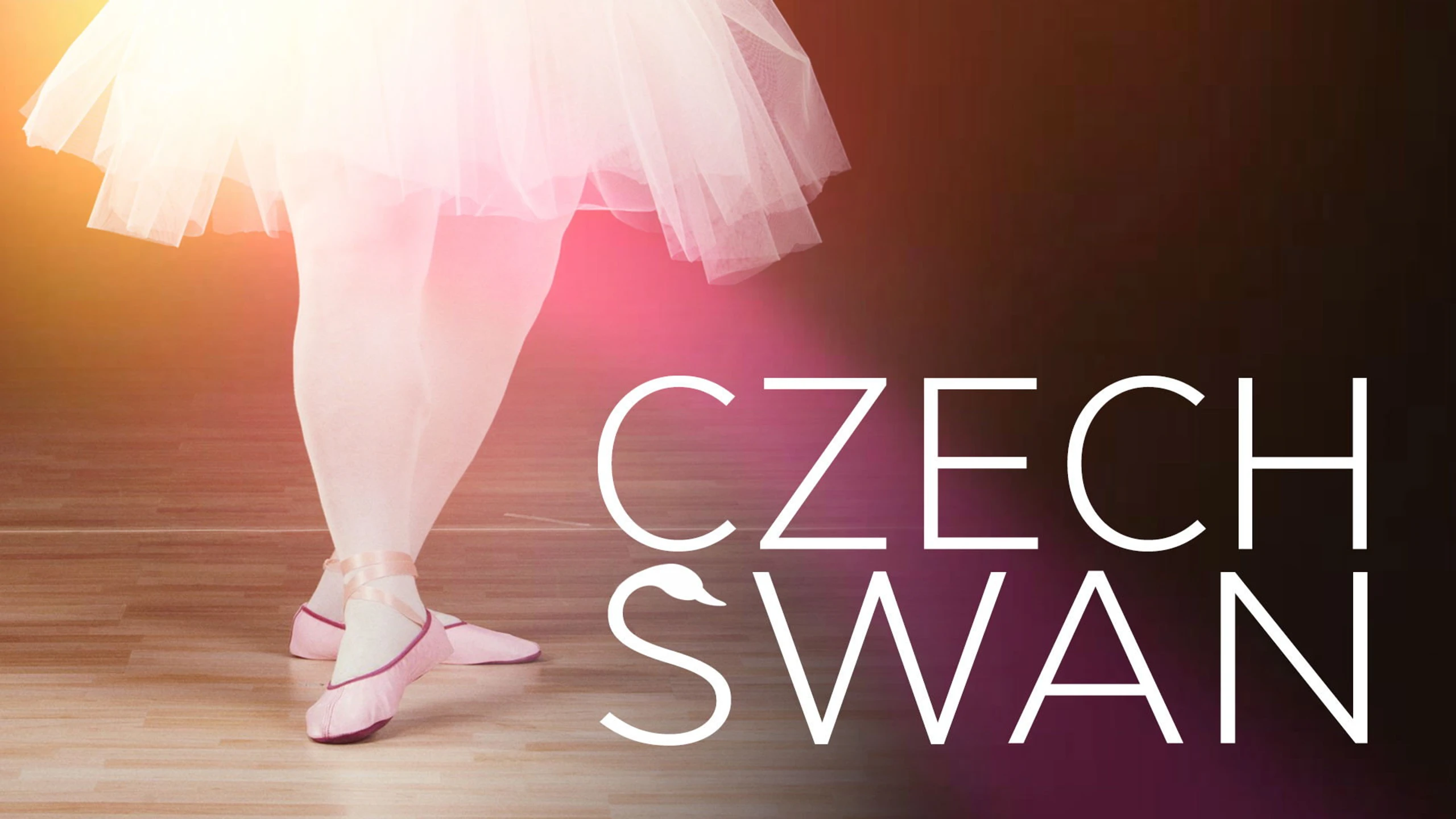 Czeski łabędź