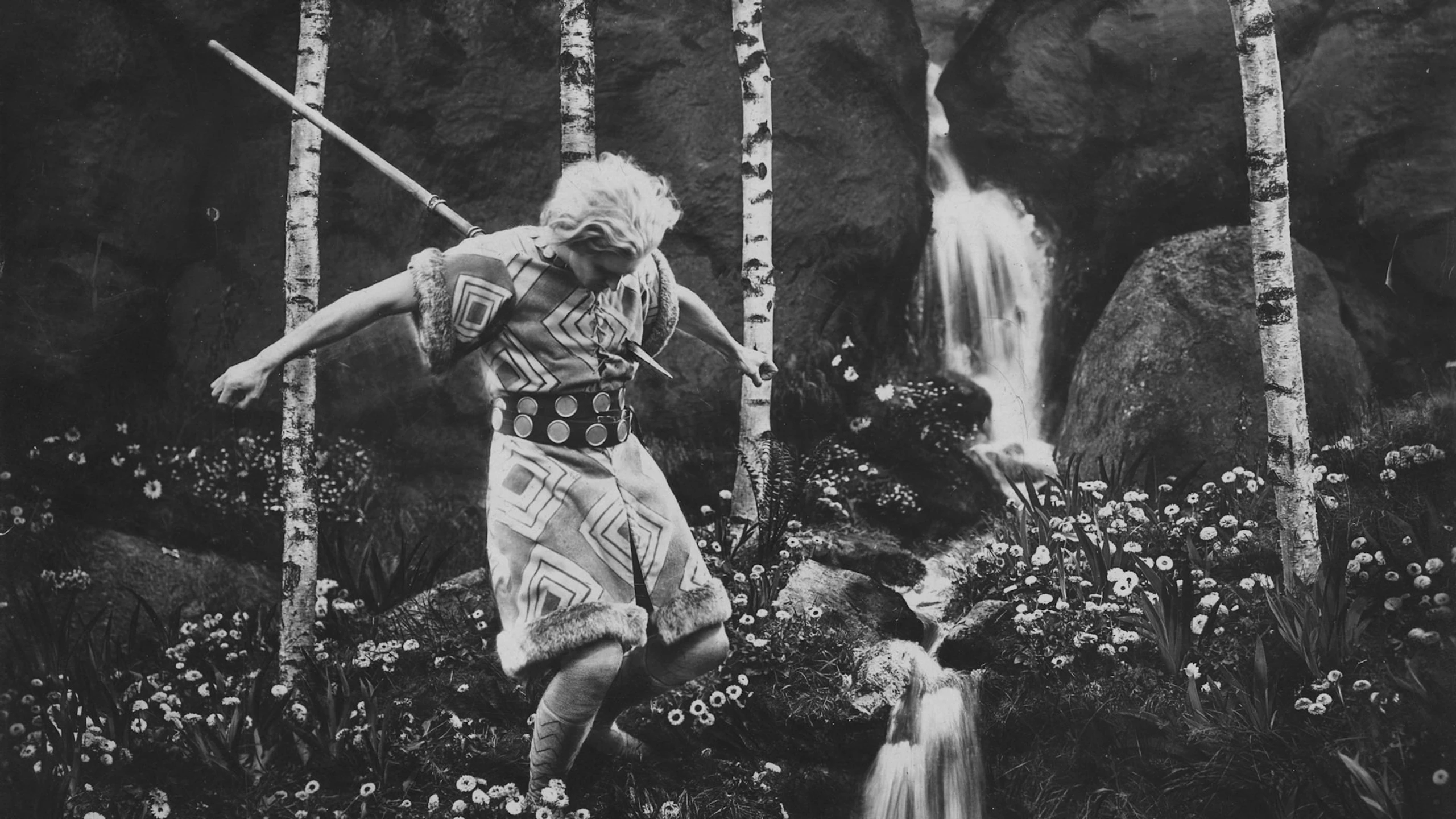 Das Erbe der Nibelungen