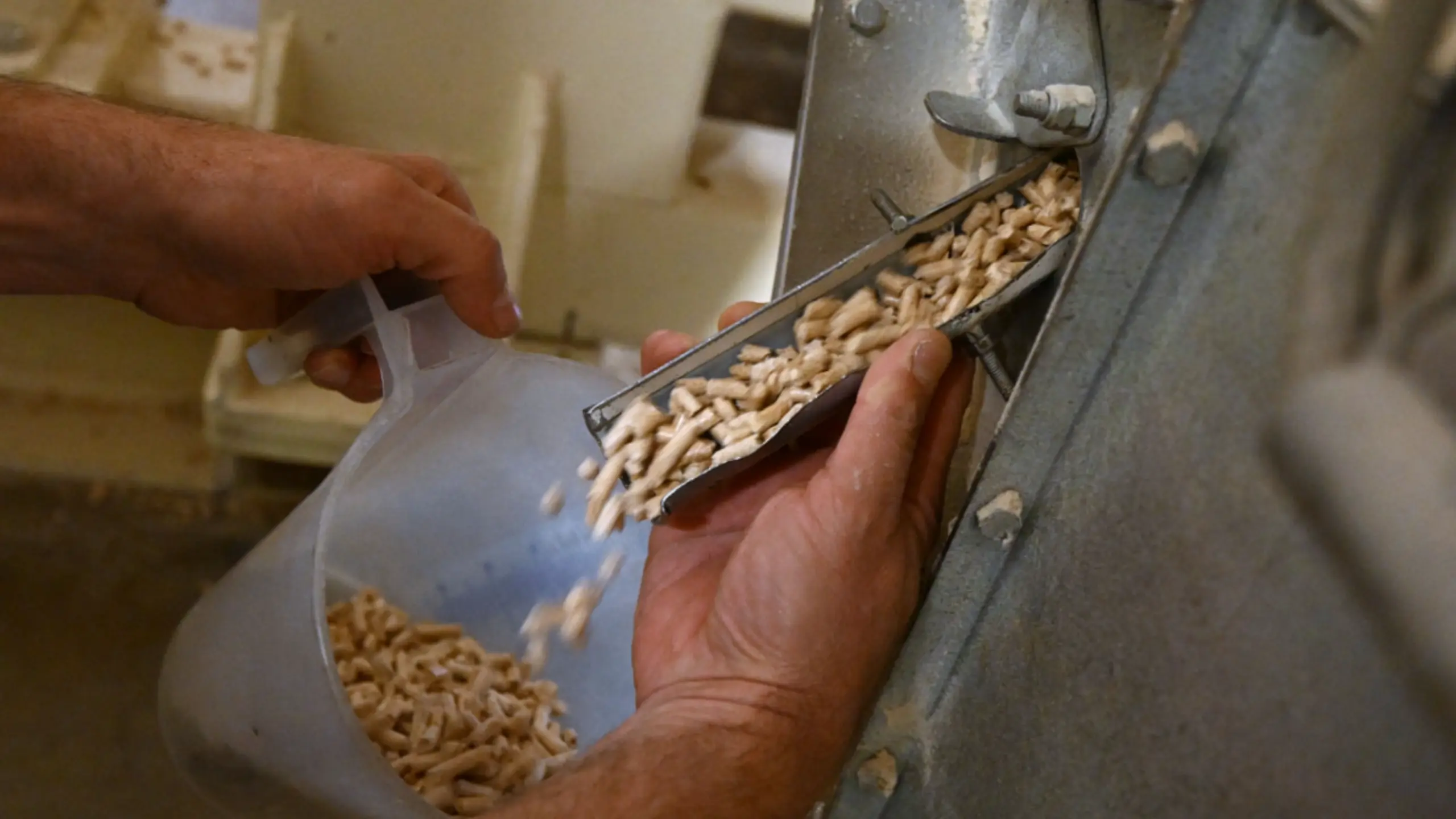 © Themenbild, Apa, HELMUT FOHRINGER Holzpellets um fast ein Drittel teurer