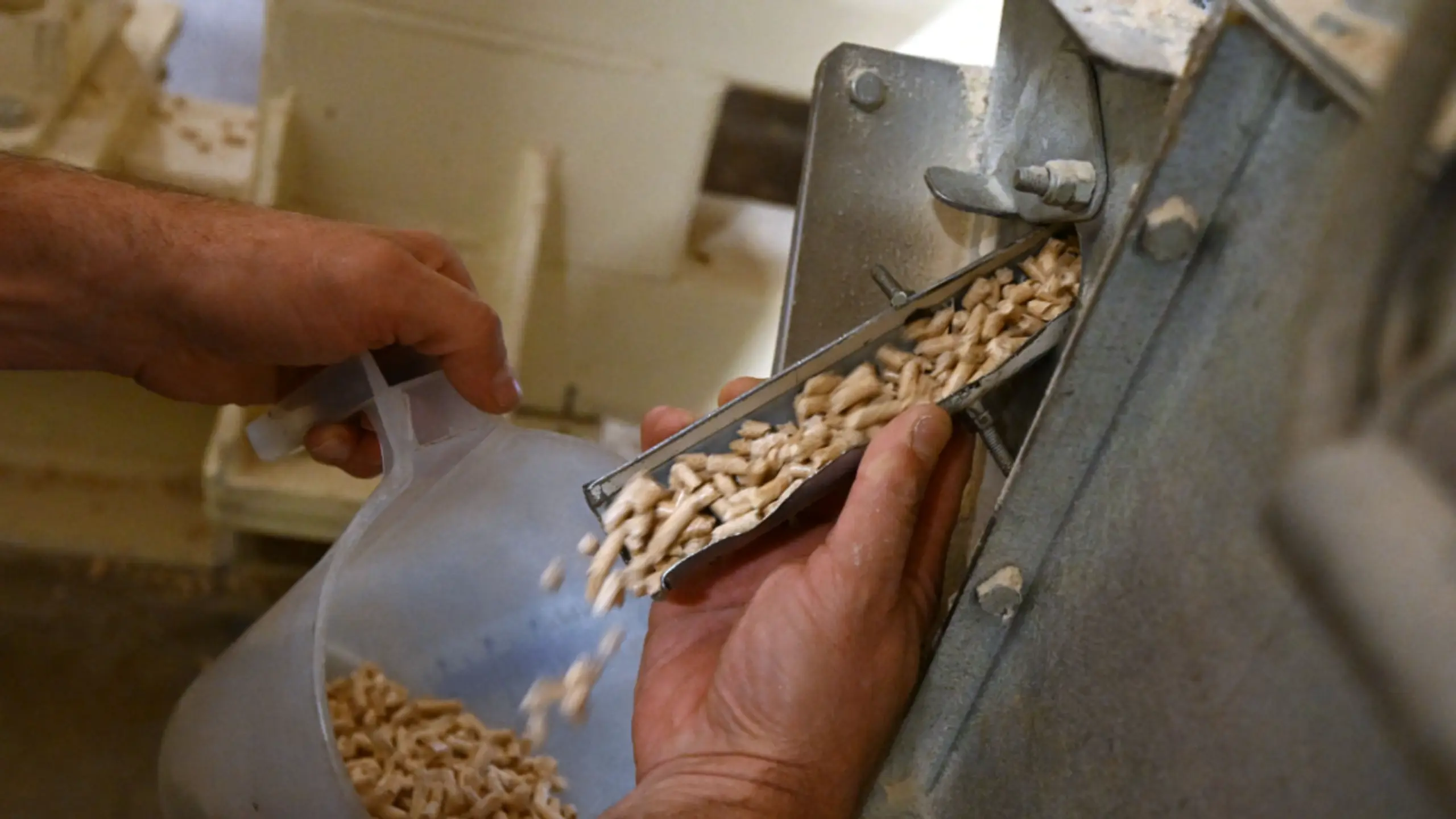 Holzpellets um fast ein Drittel teurer