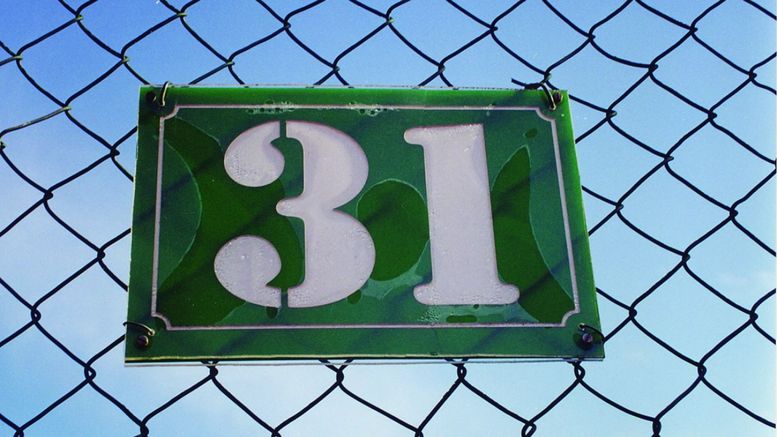 31