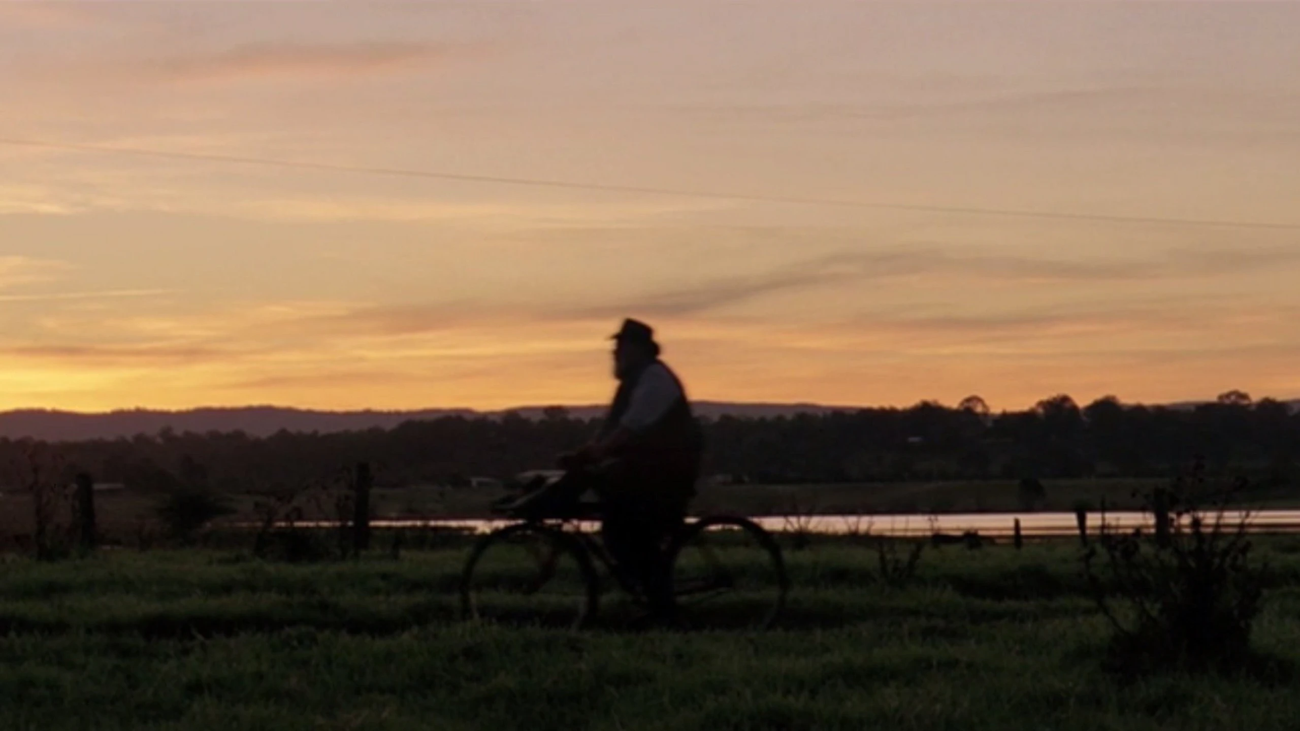 The Telegram Man