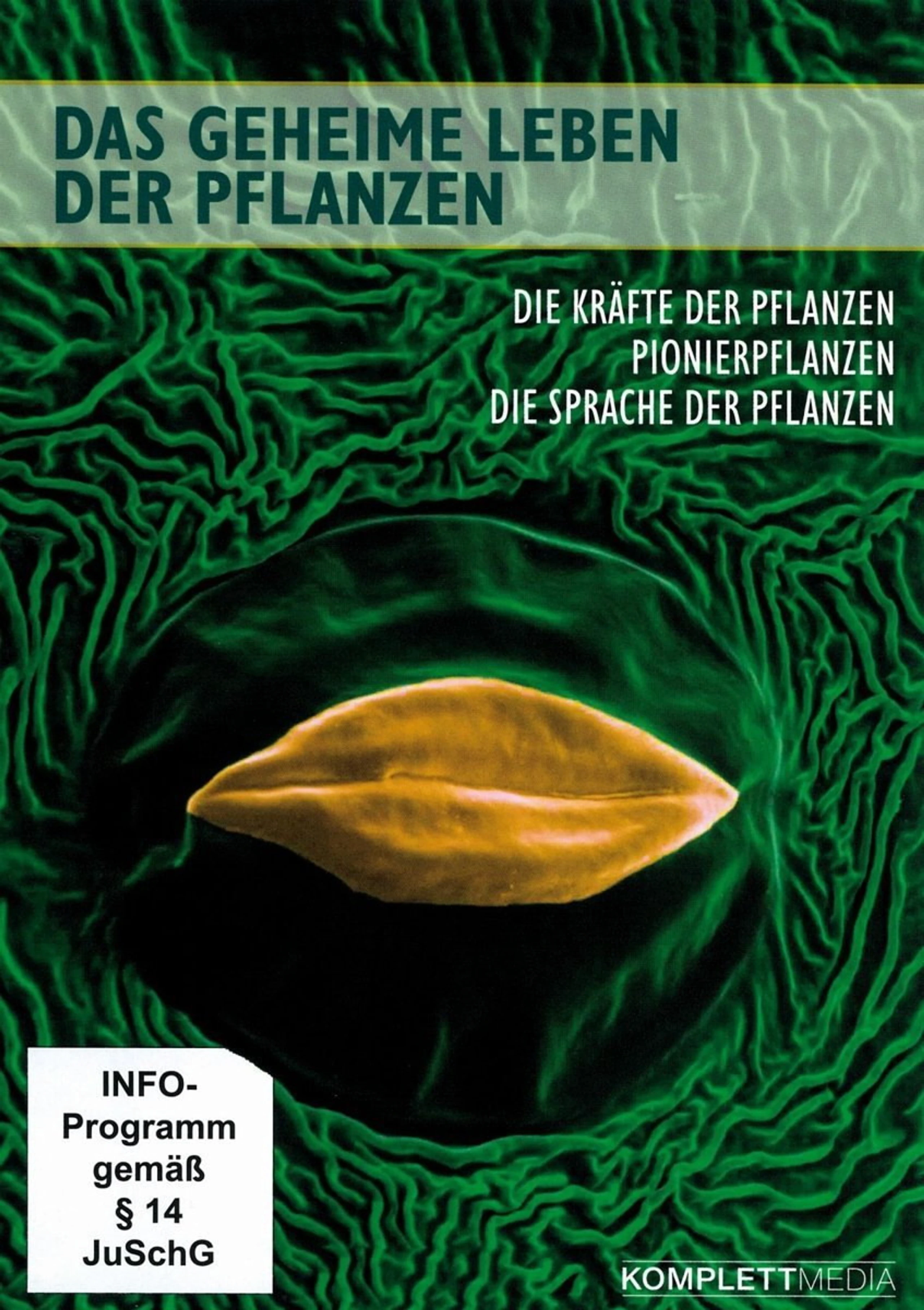 La Vie Secrète des Plantes