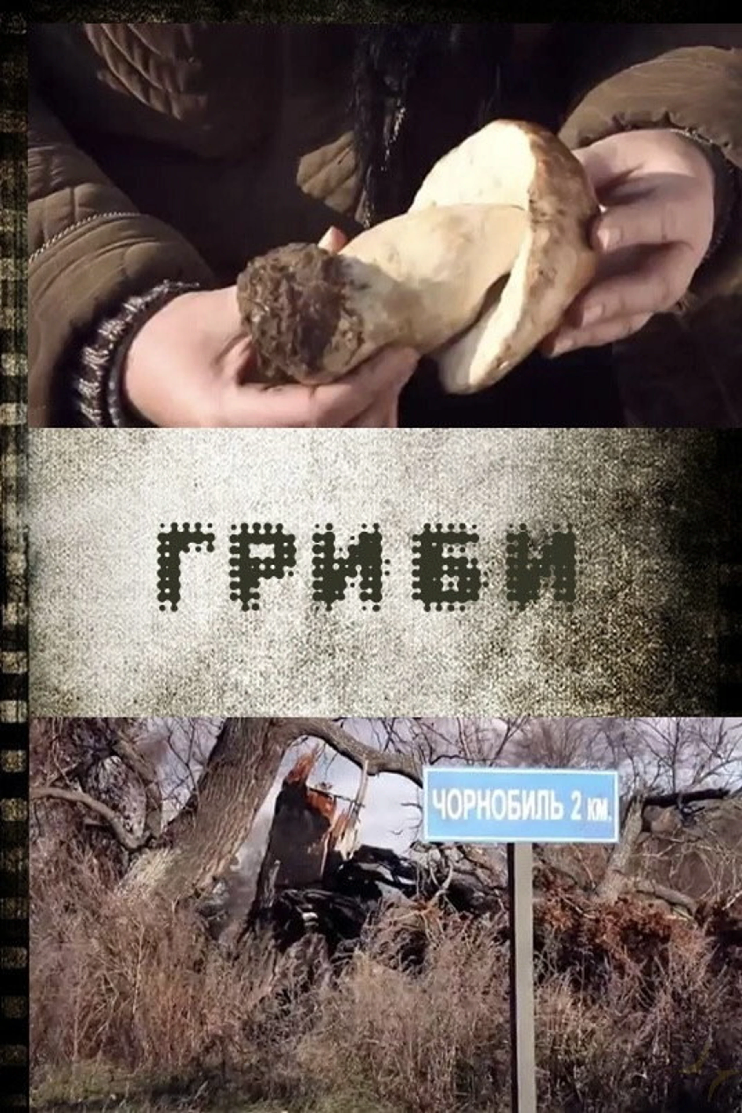 Mushrooms