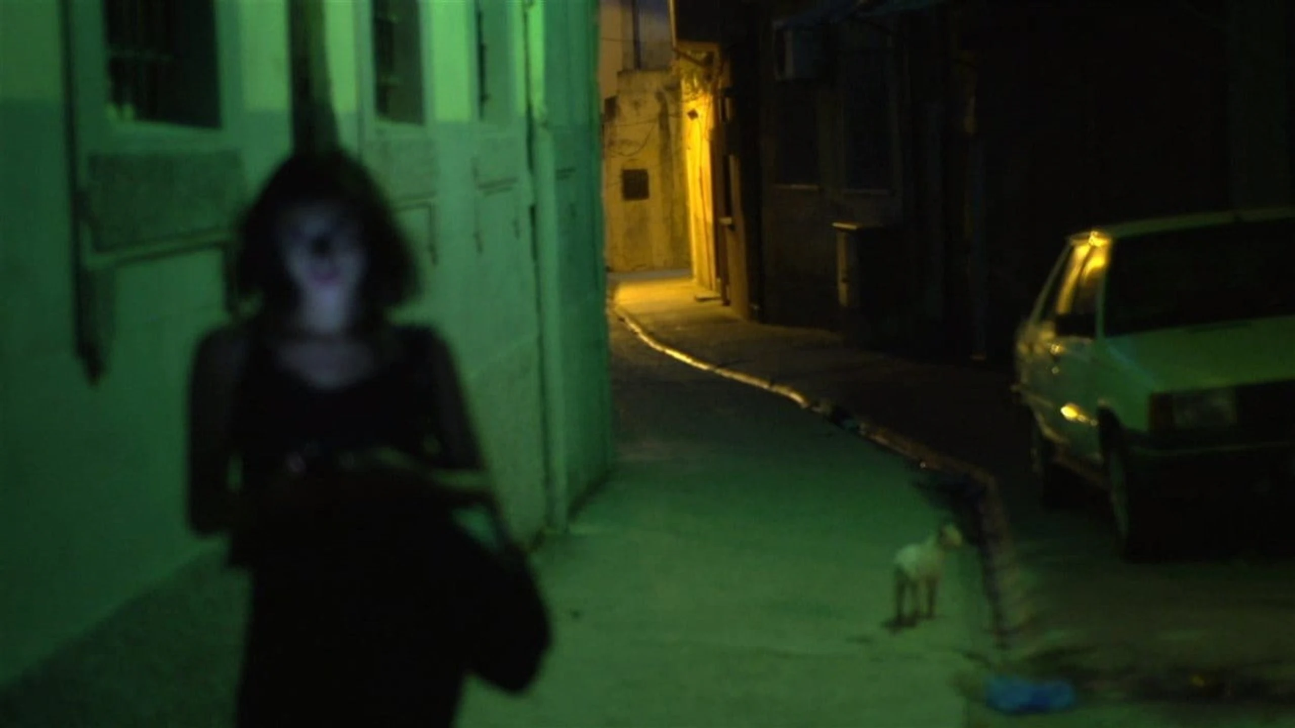 A Gay Girl in Damascus: The Amina Profile