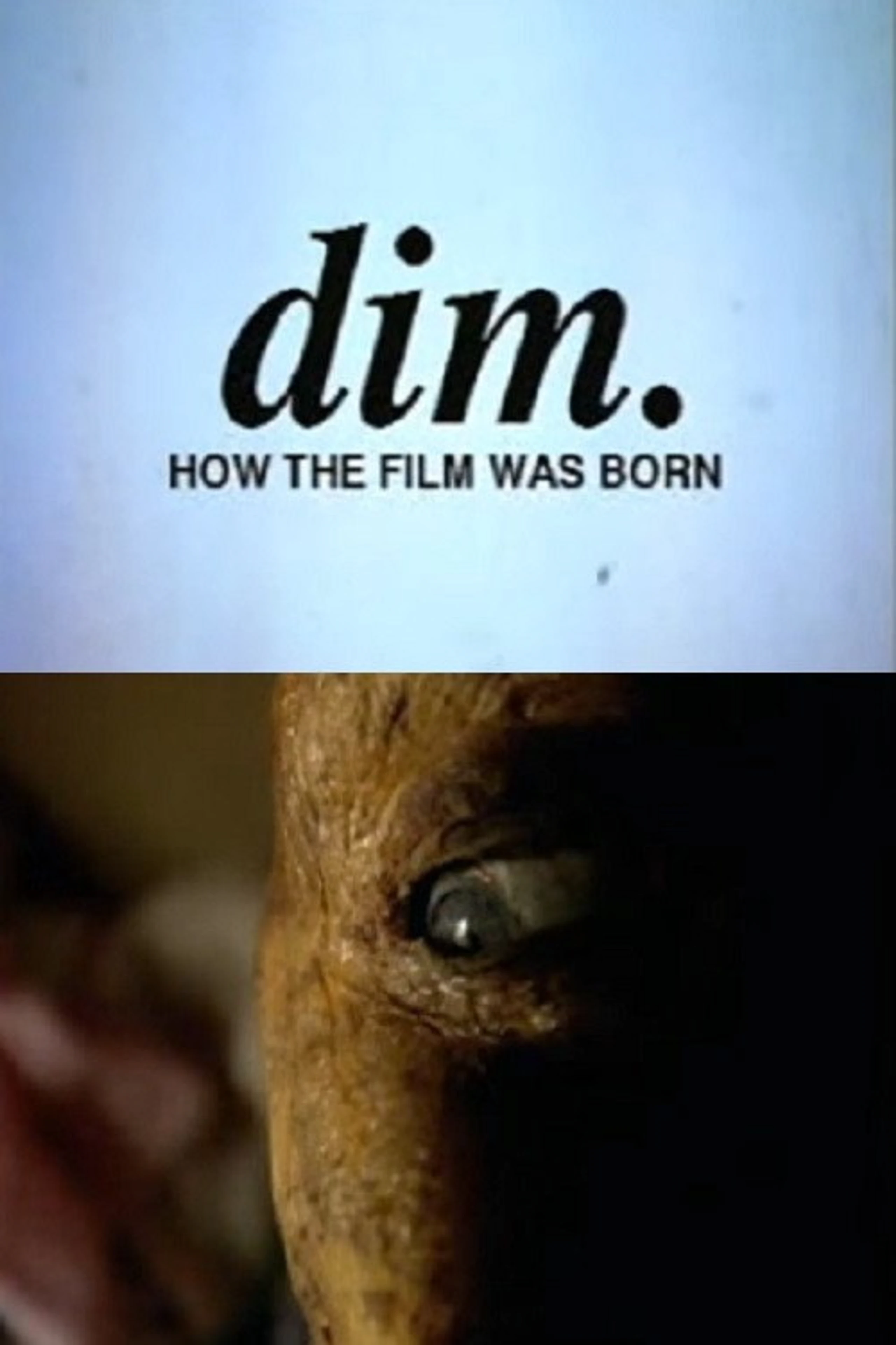 Dim.: How The Film Was Born