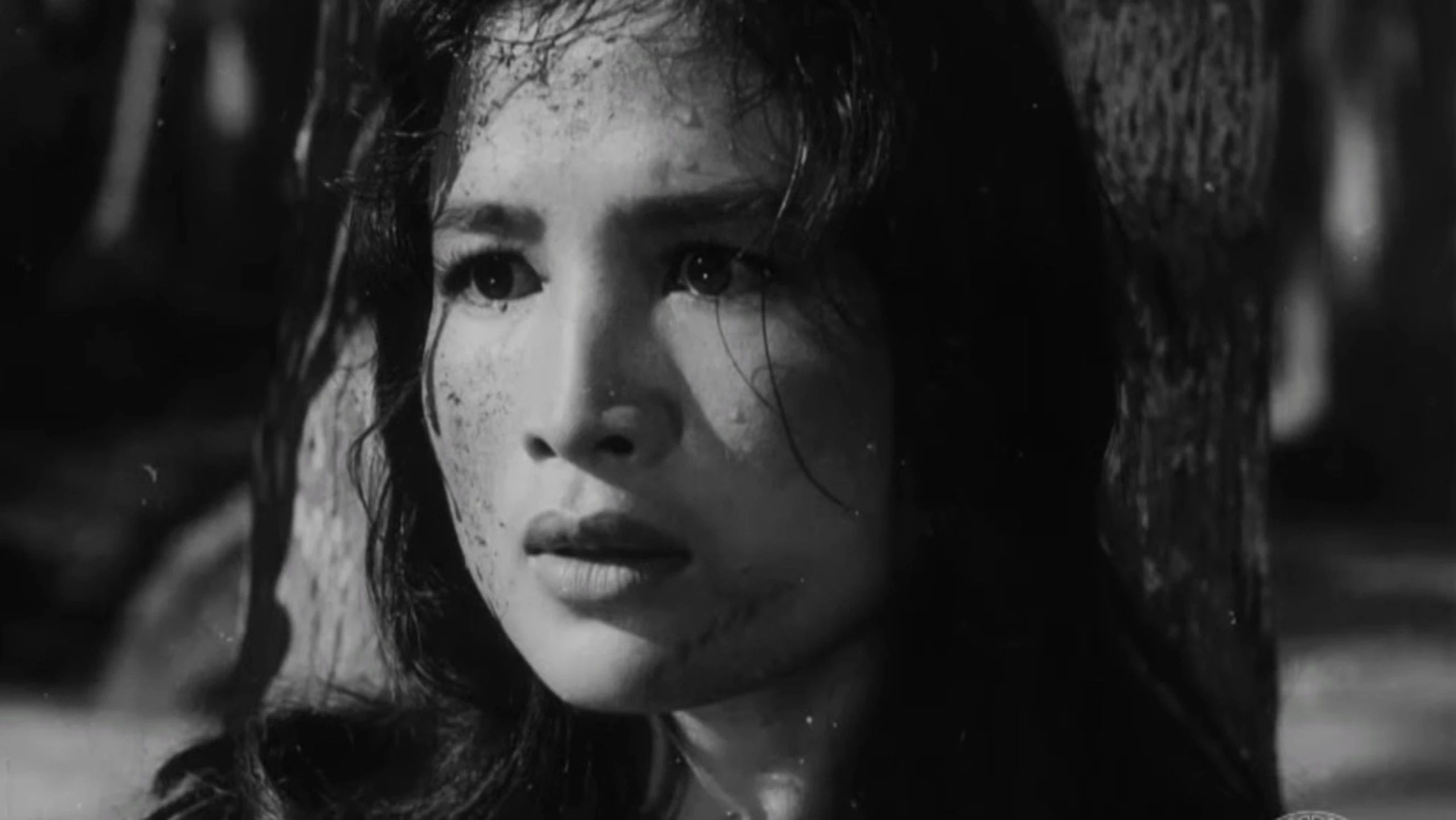 Vĩ Tuyến 17 Ngày Và Đêm