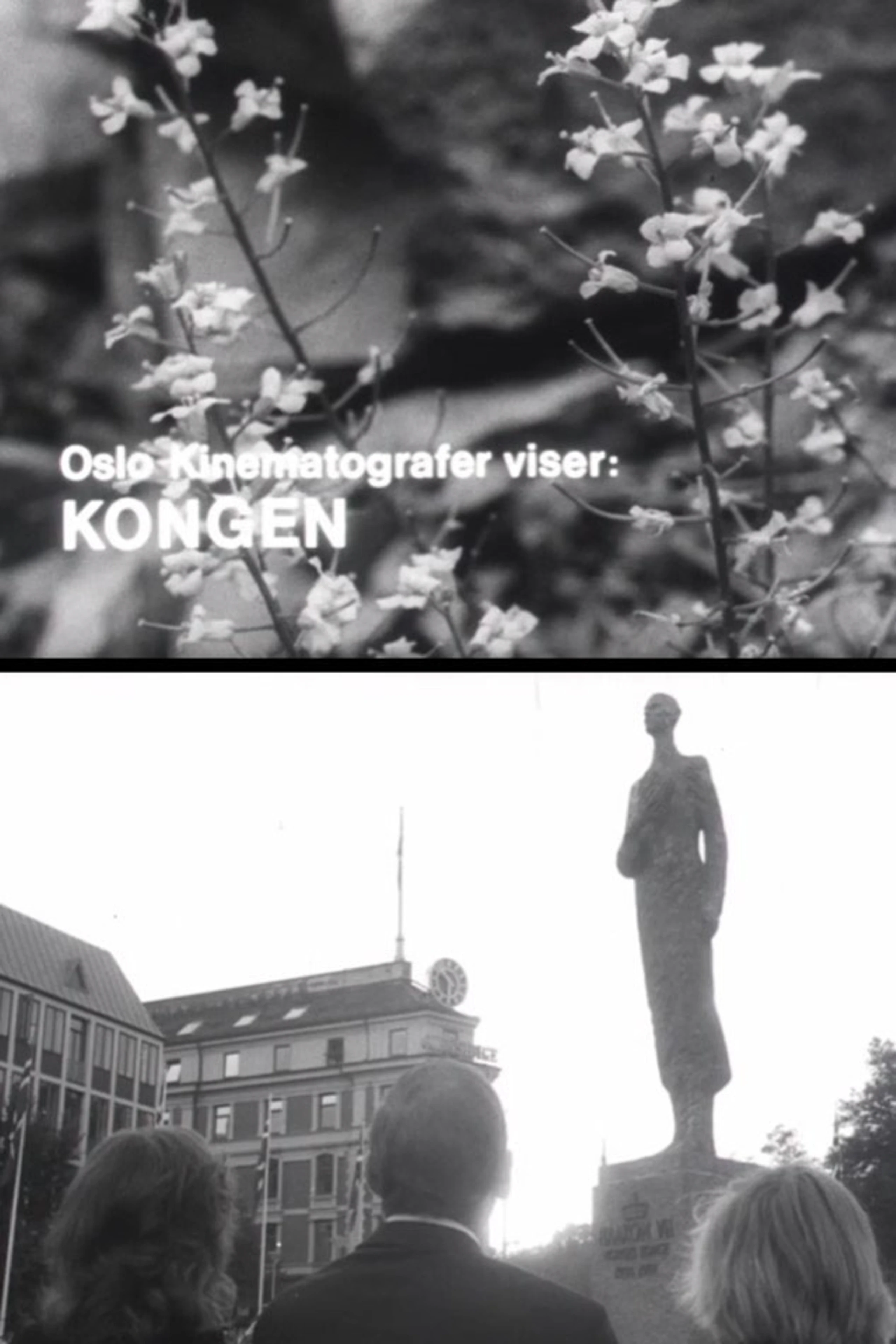 Kongen