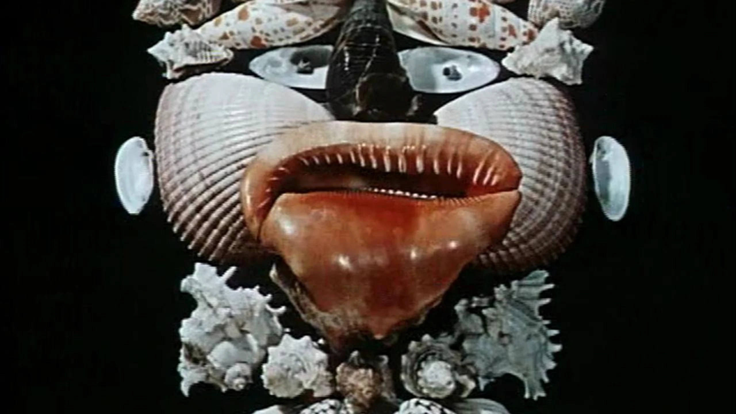Historia Naturae (Suita)
