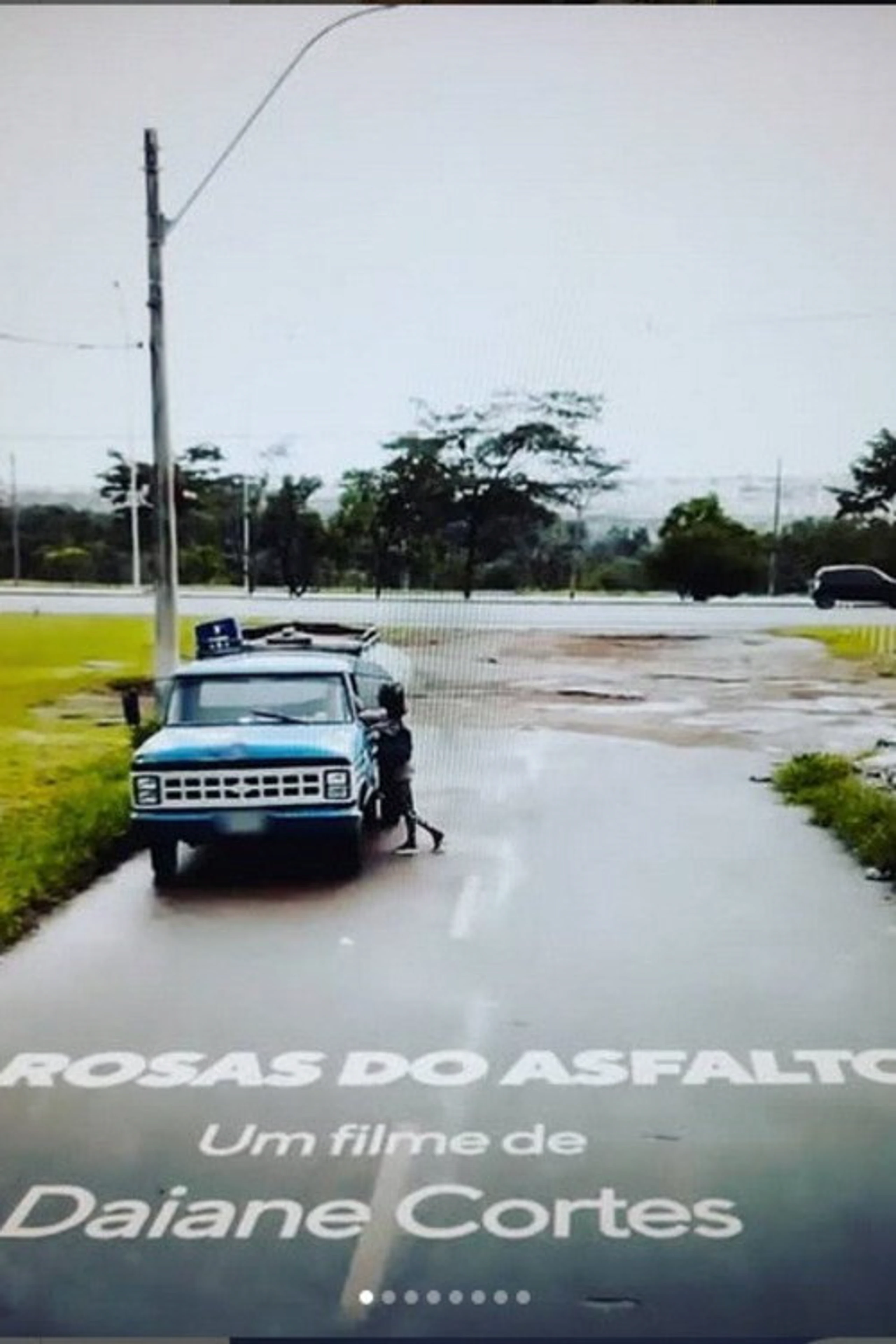 Rosas do Asfalto