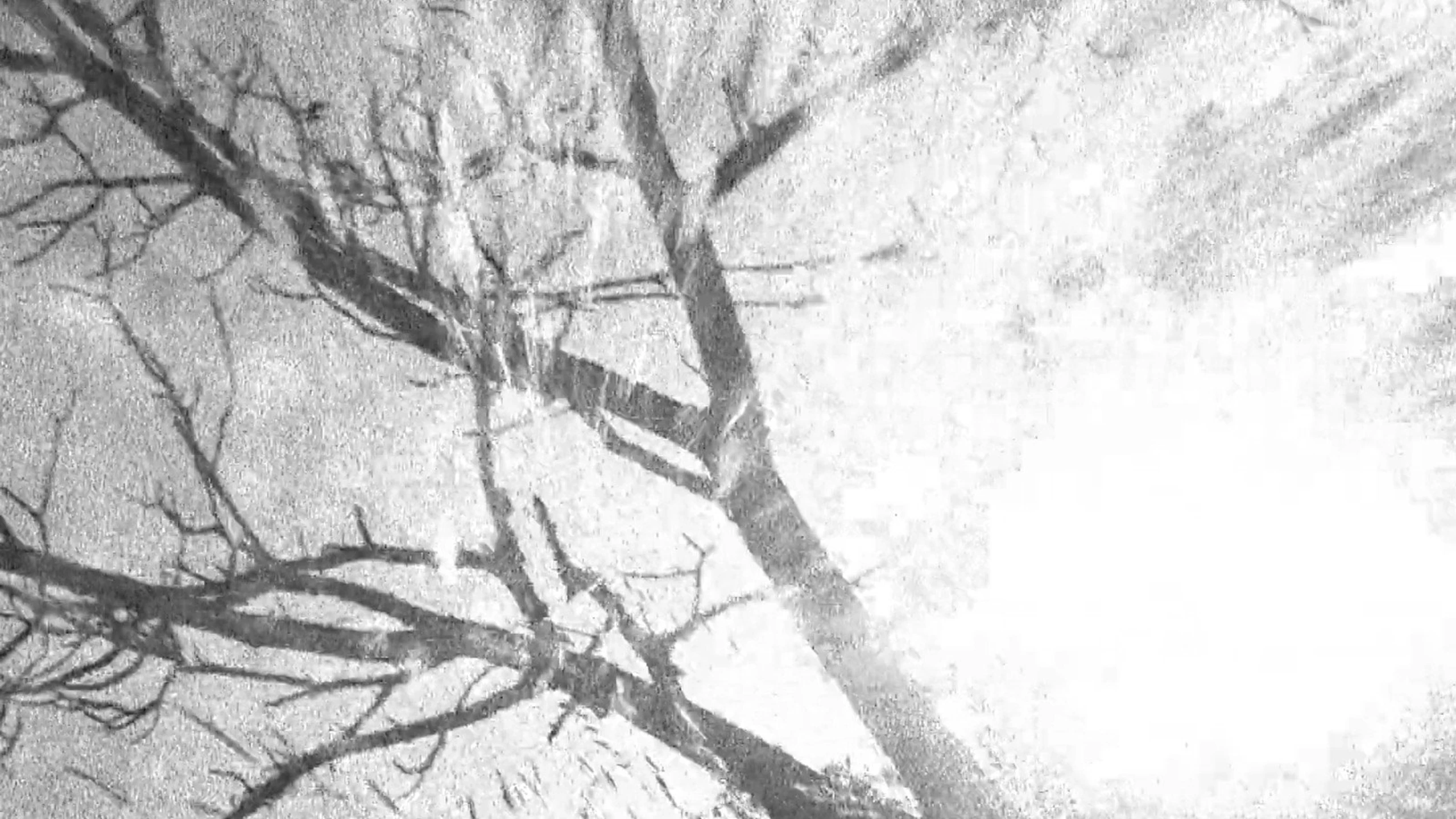 Spectral Ascension