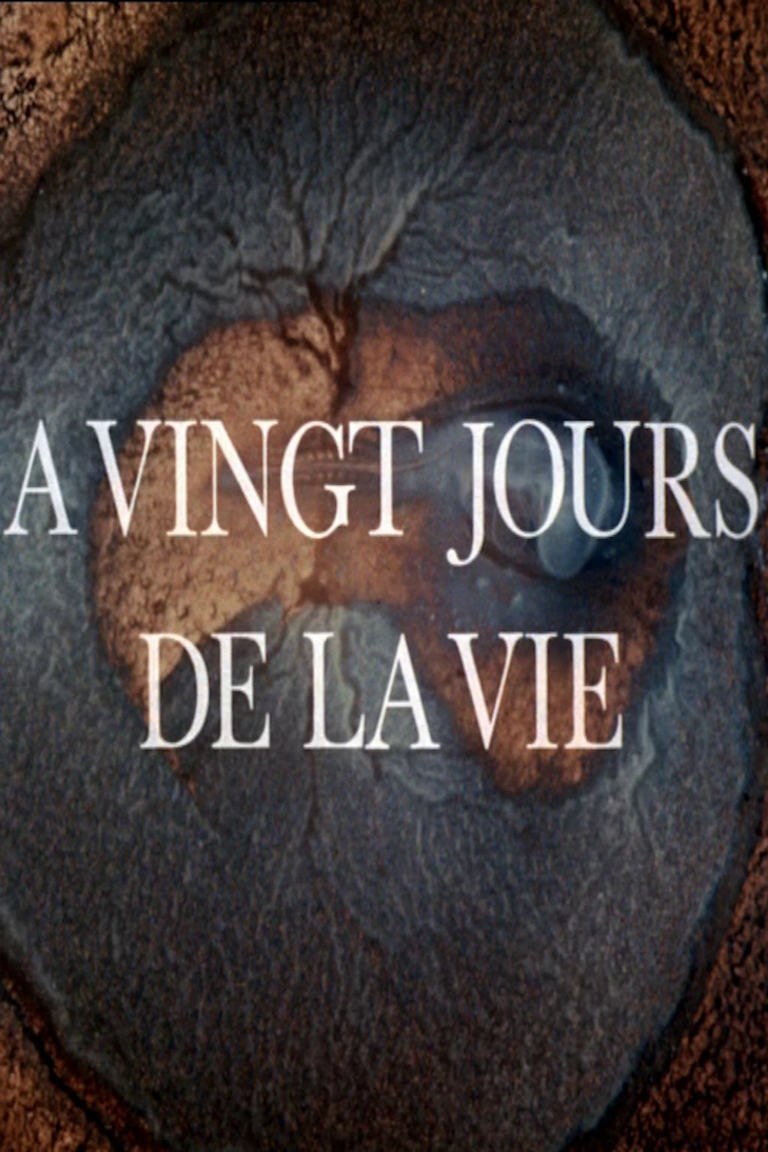 A 20 jours de la vie