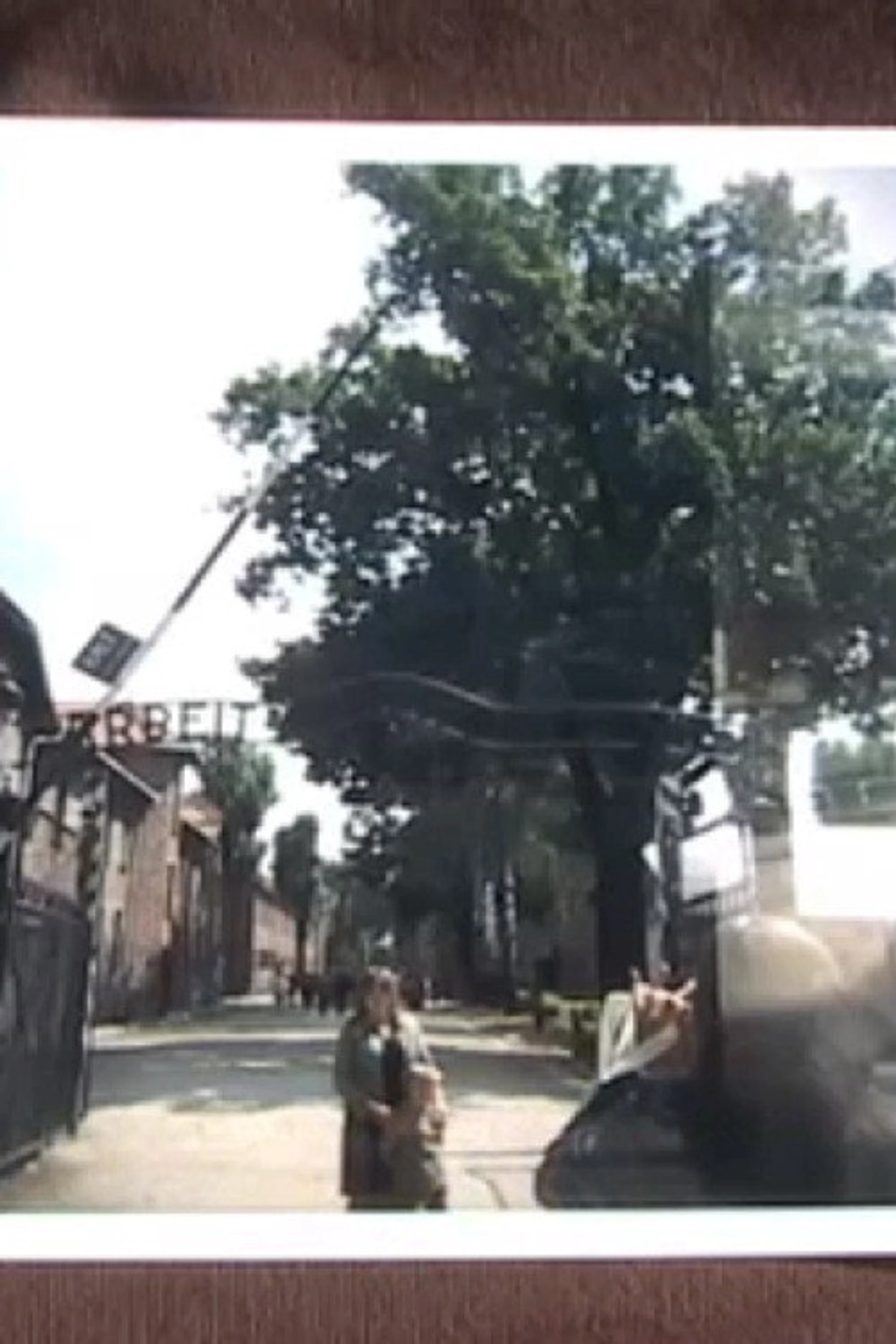 auschwitz