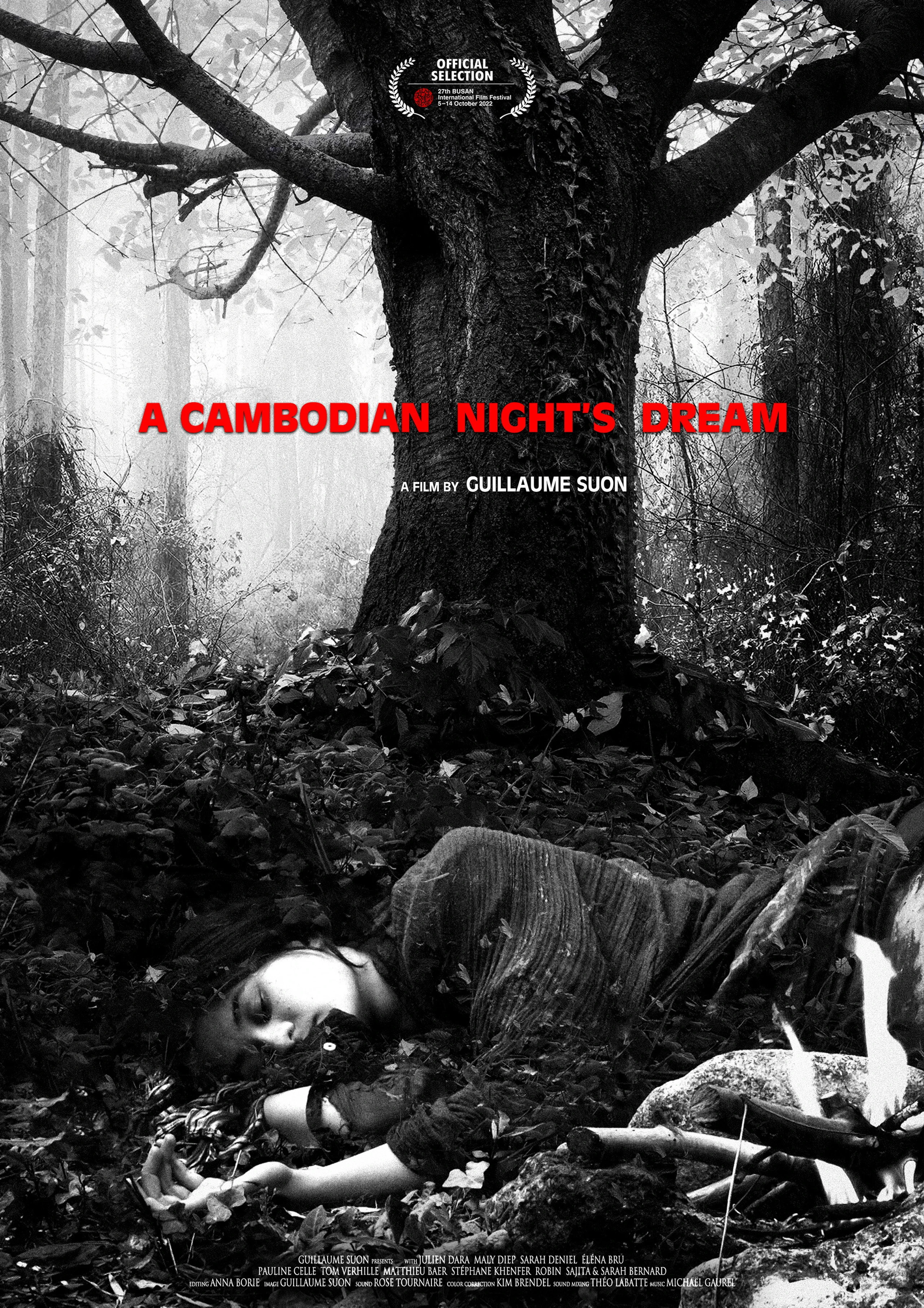 A Cambodian Night′s Dream