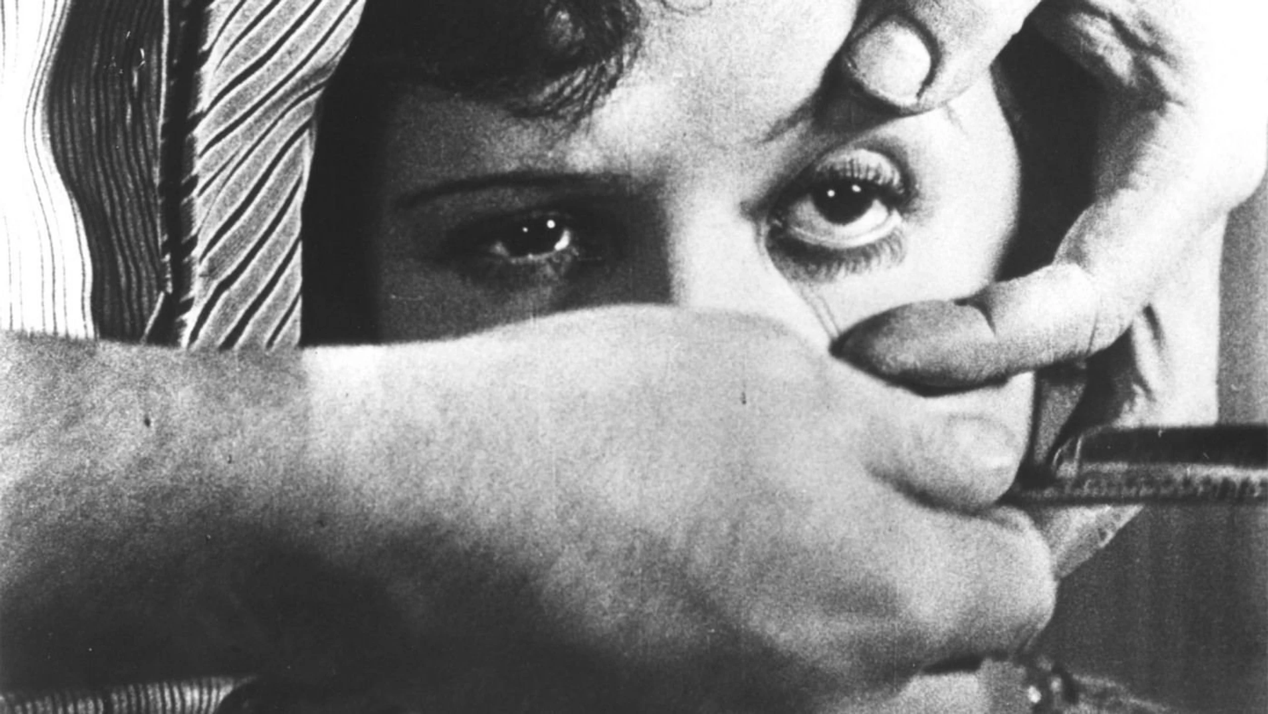 Dans l'œil de Luis Buñuel