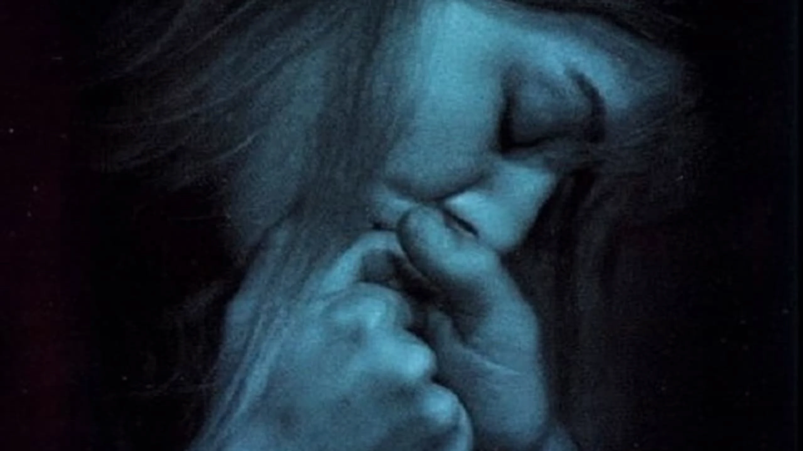 Silent Lies