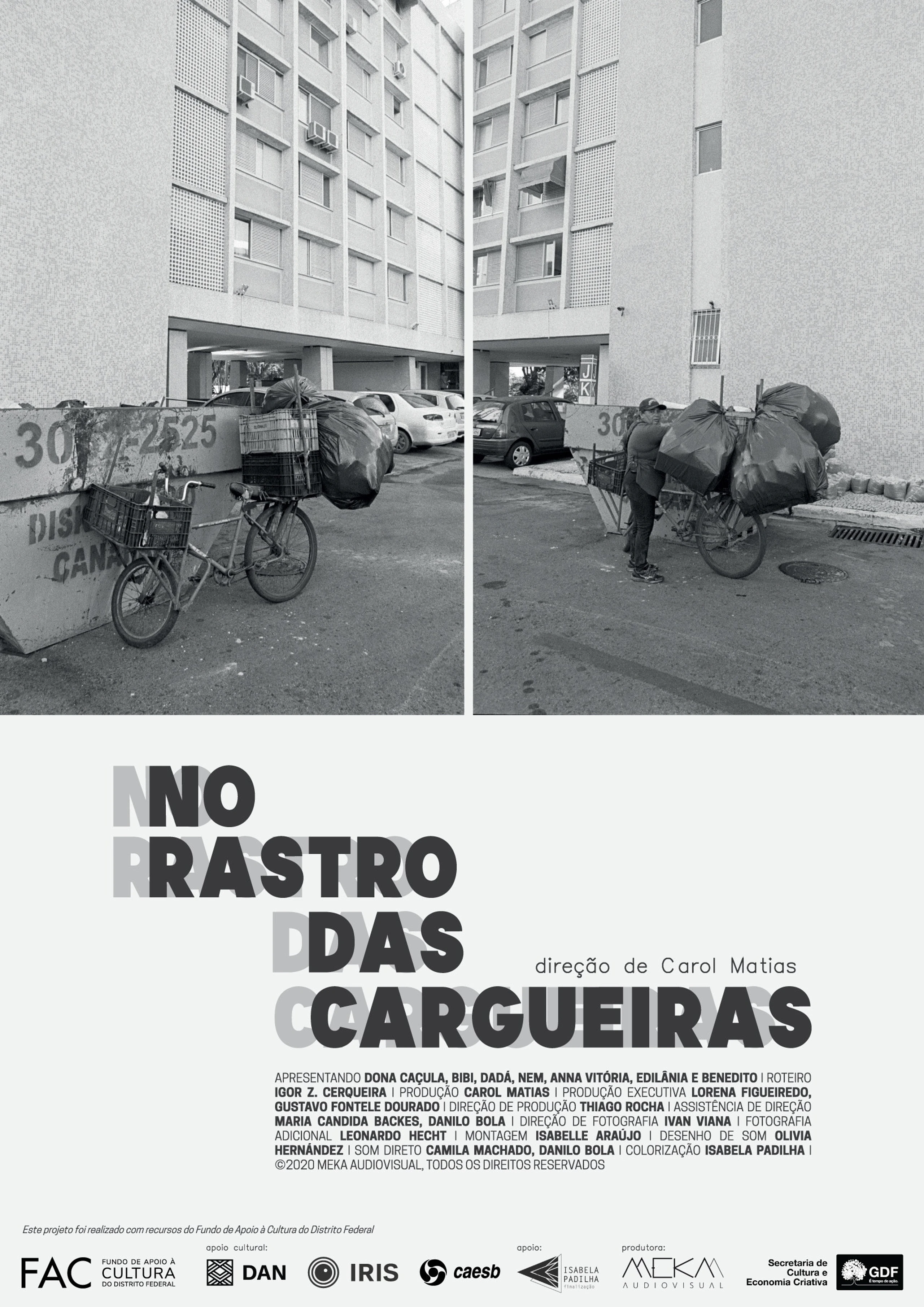 No rastro das cargueiras