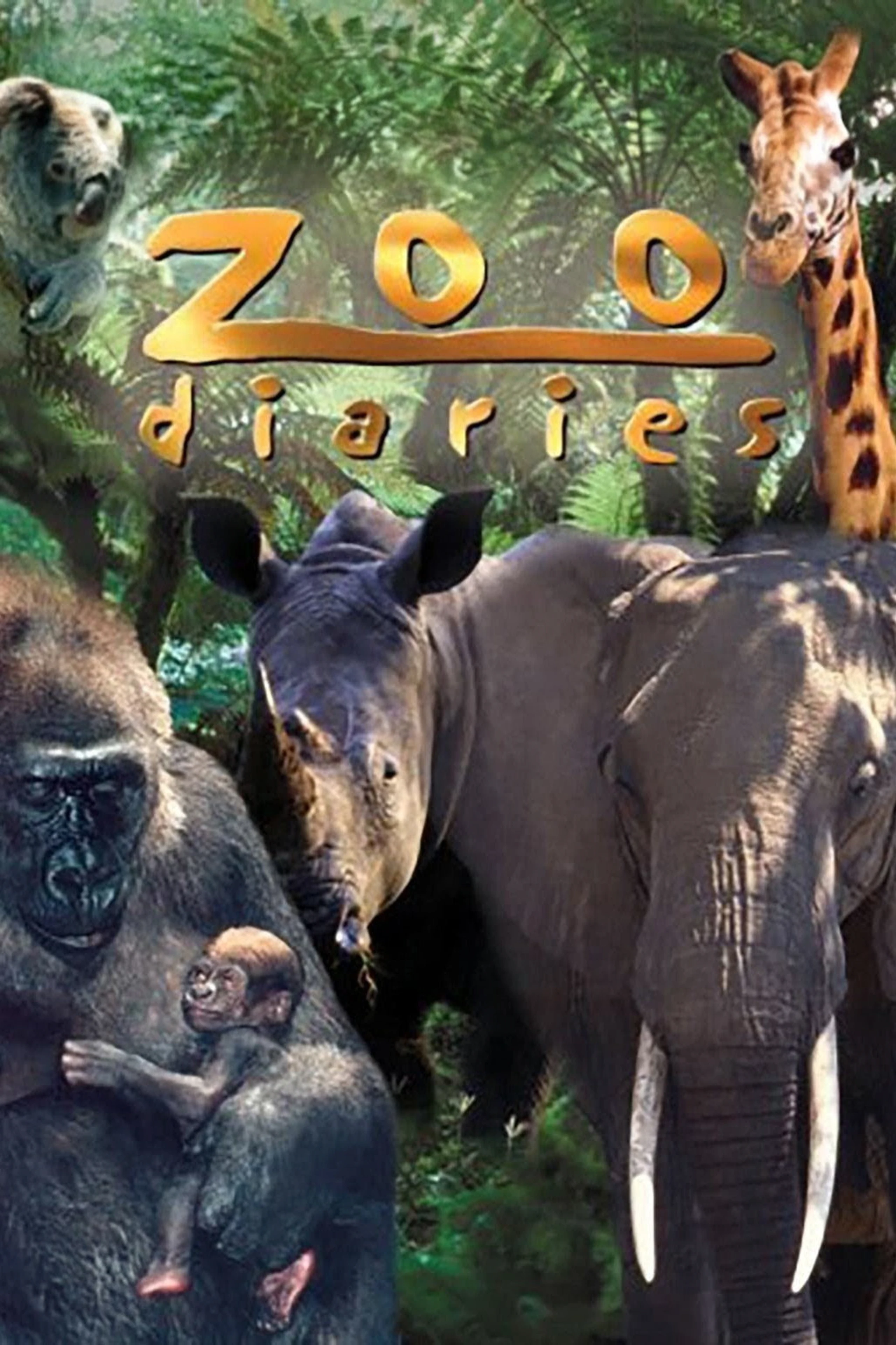 Zoo Diaries
