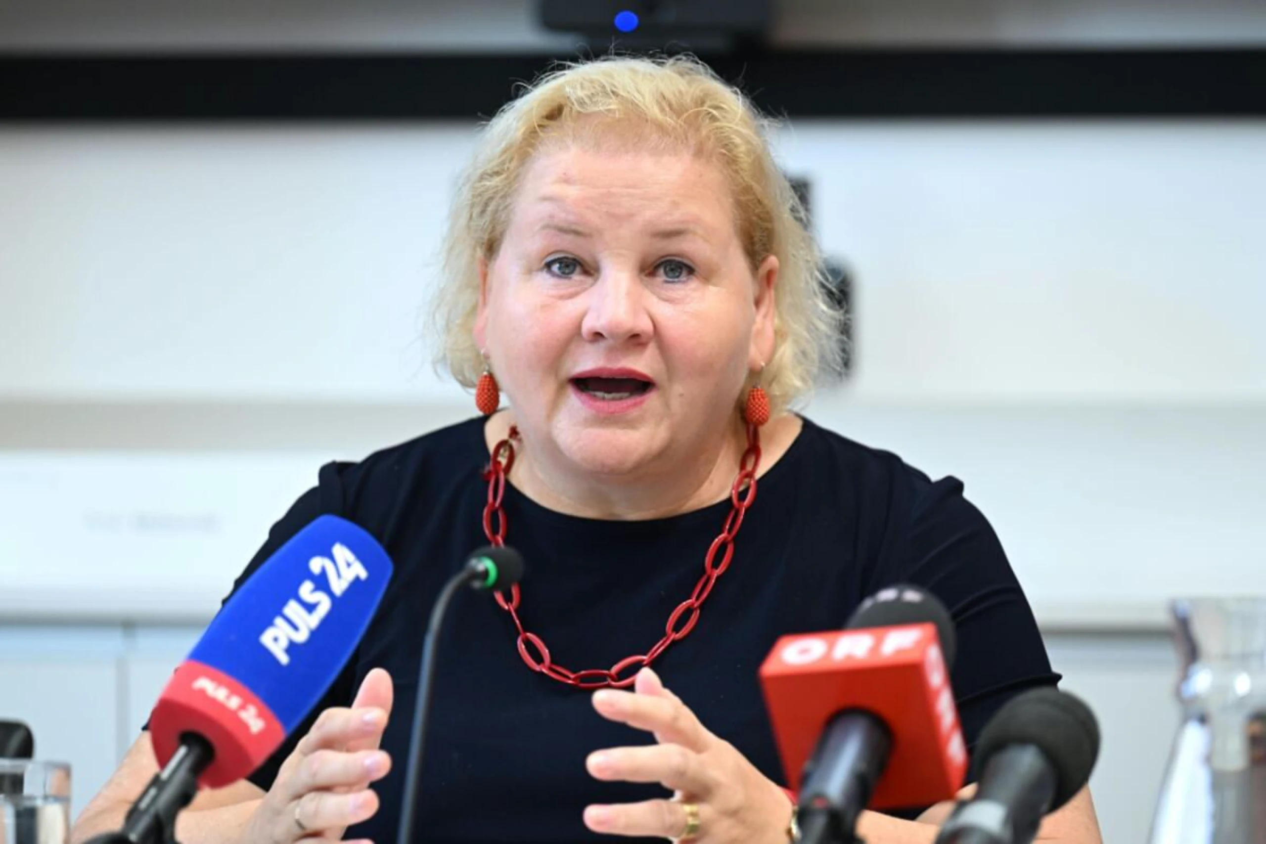 Muss mit ÖVP und NEOS noch einig werden: Schumann