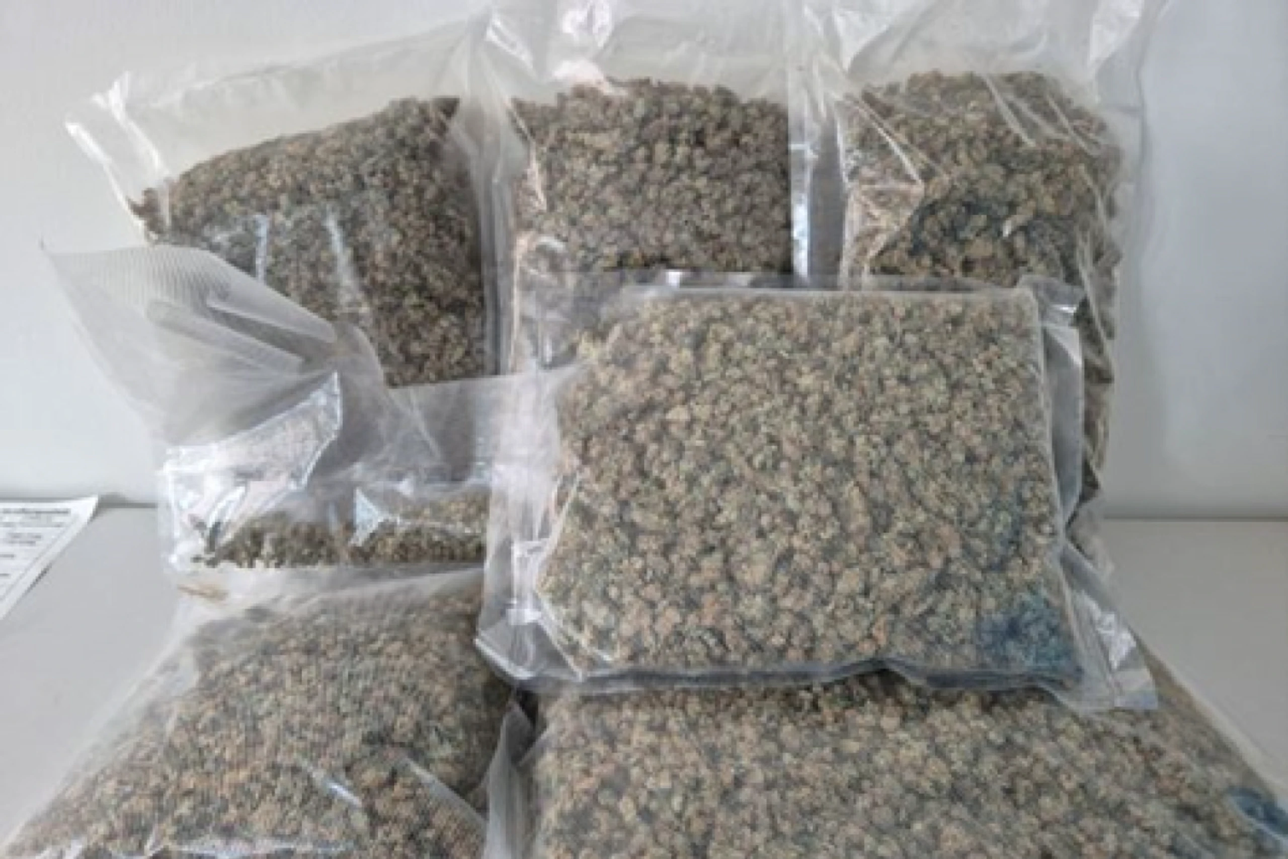 Marihuana ist in einigen US-Staaten legal erhältlich