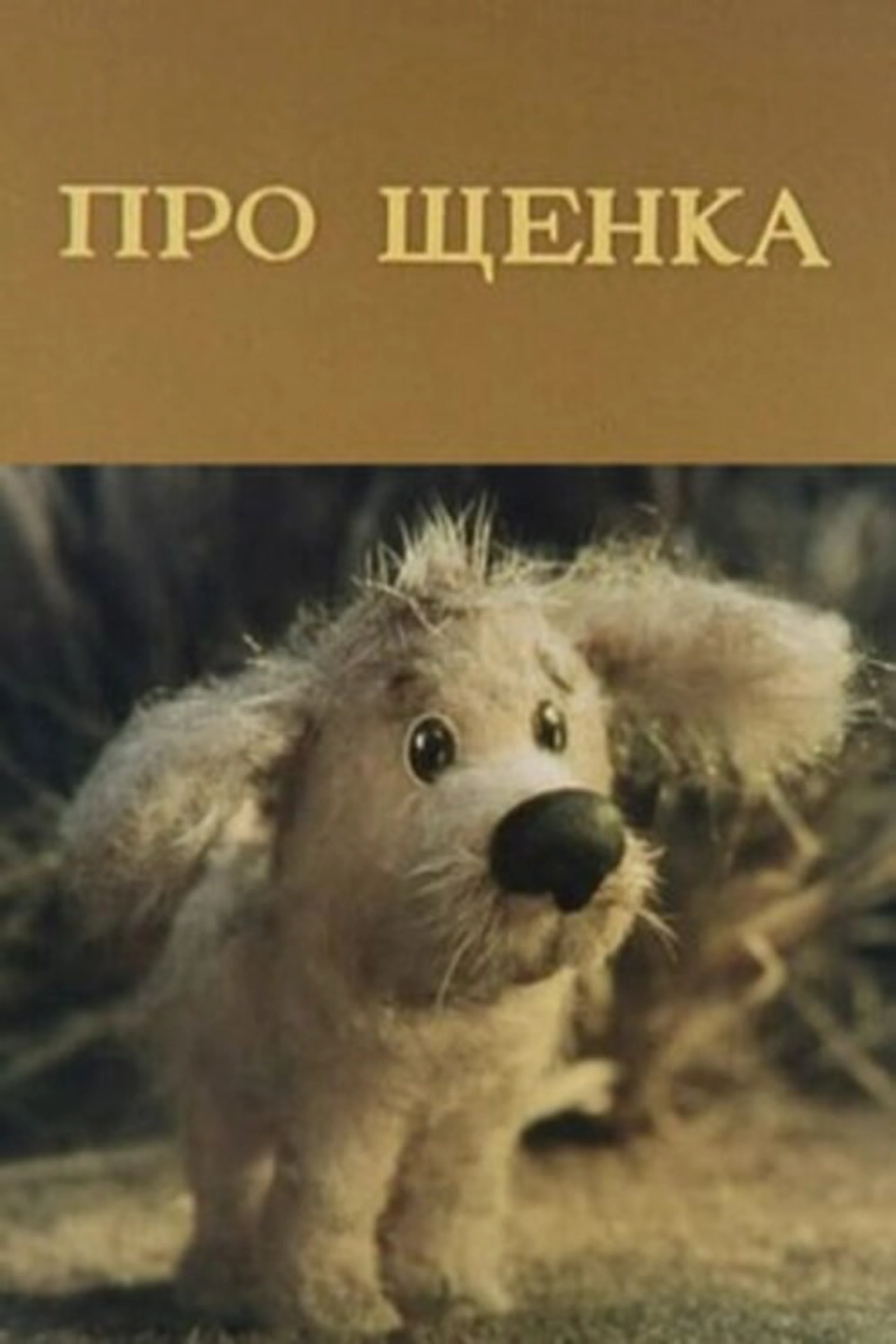 Про щенка