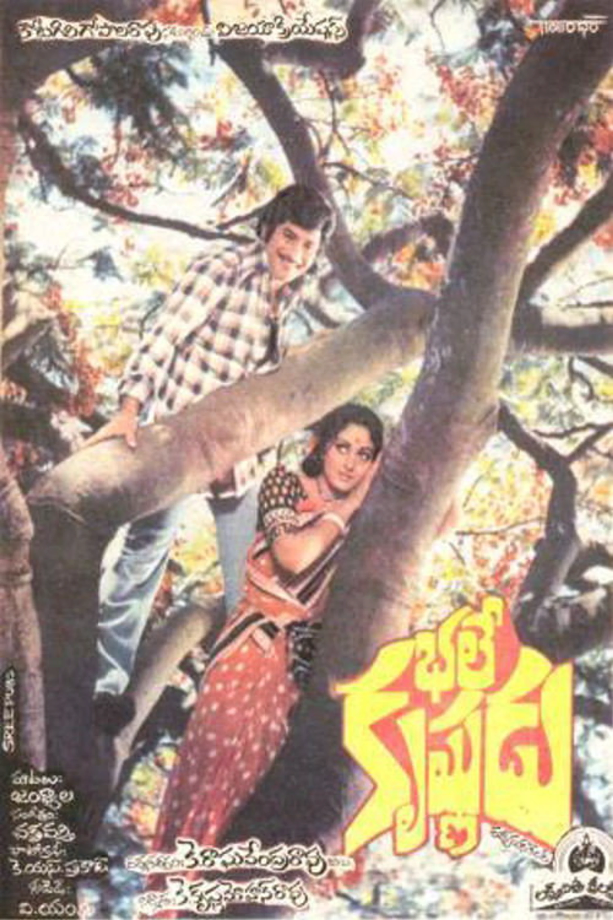 భలే కృష్ణుడు