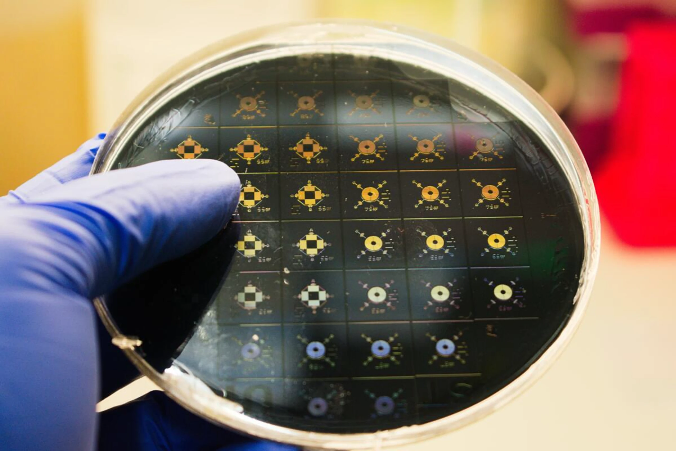Auf "Mikrofluidik-Chips" wurde das Tumorverhalten getestet