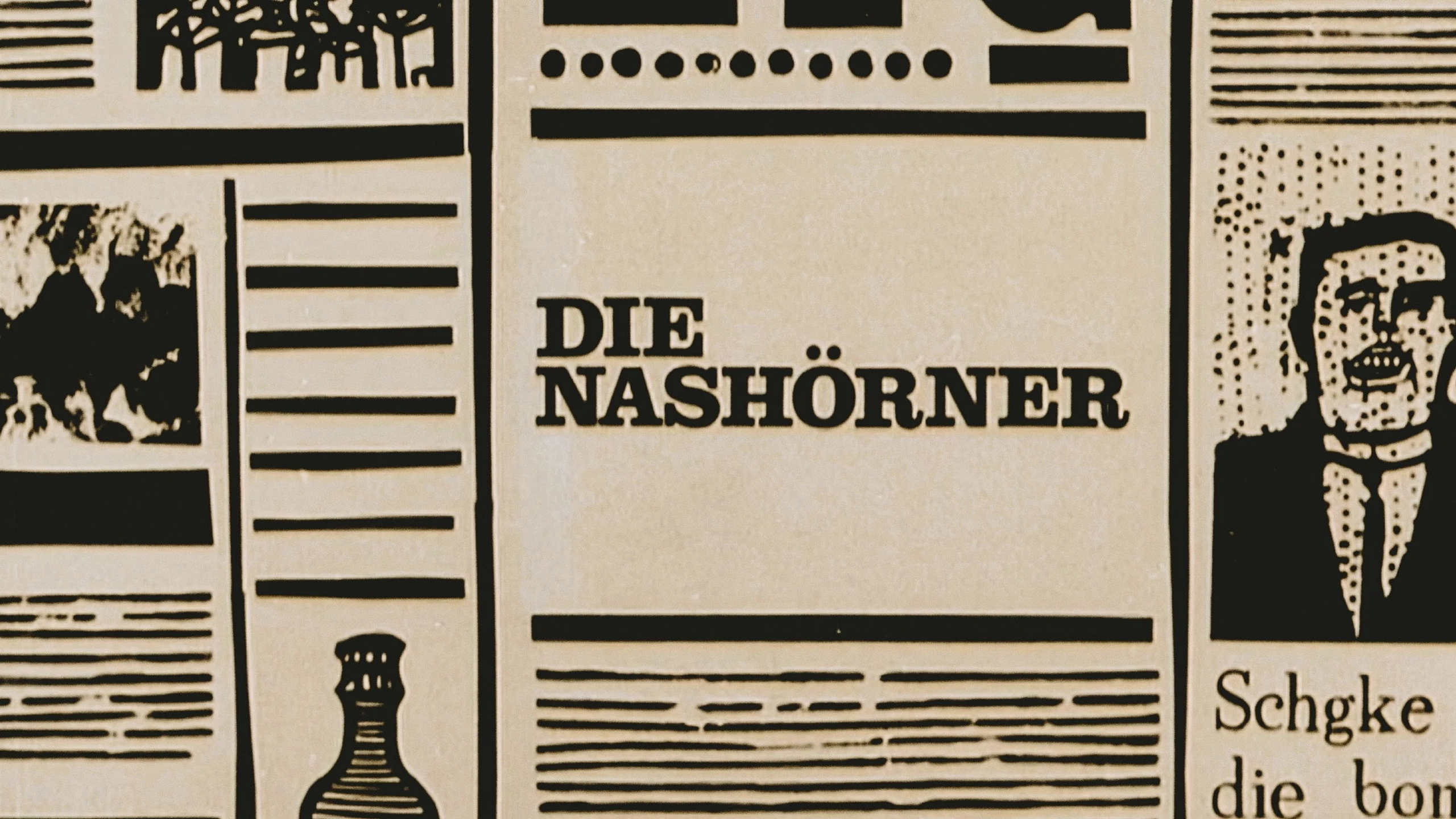Die Nashörner