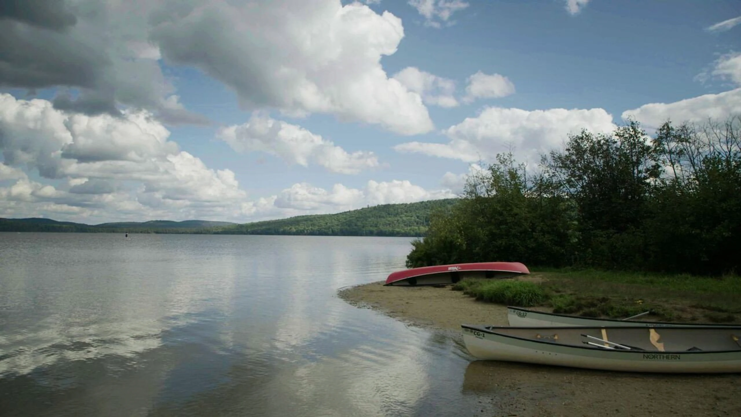 The Long Weekend