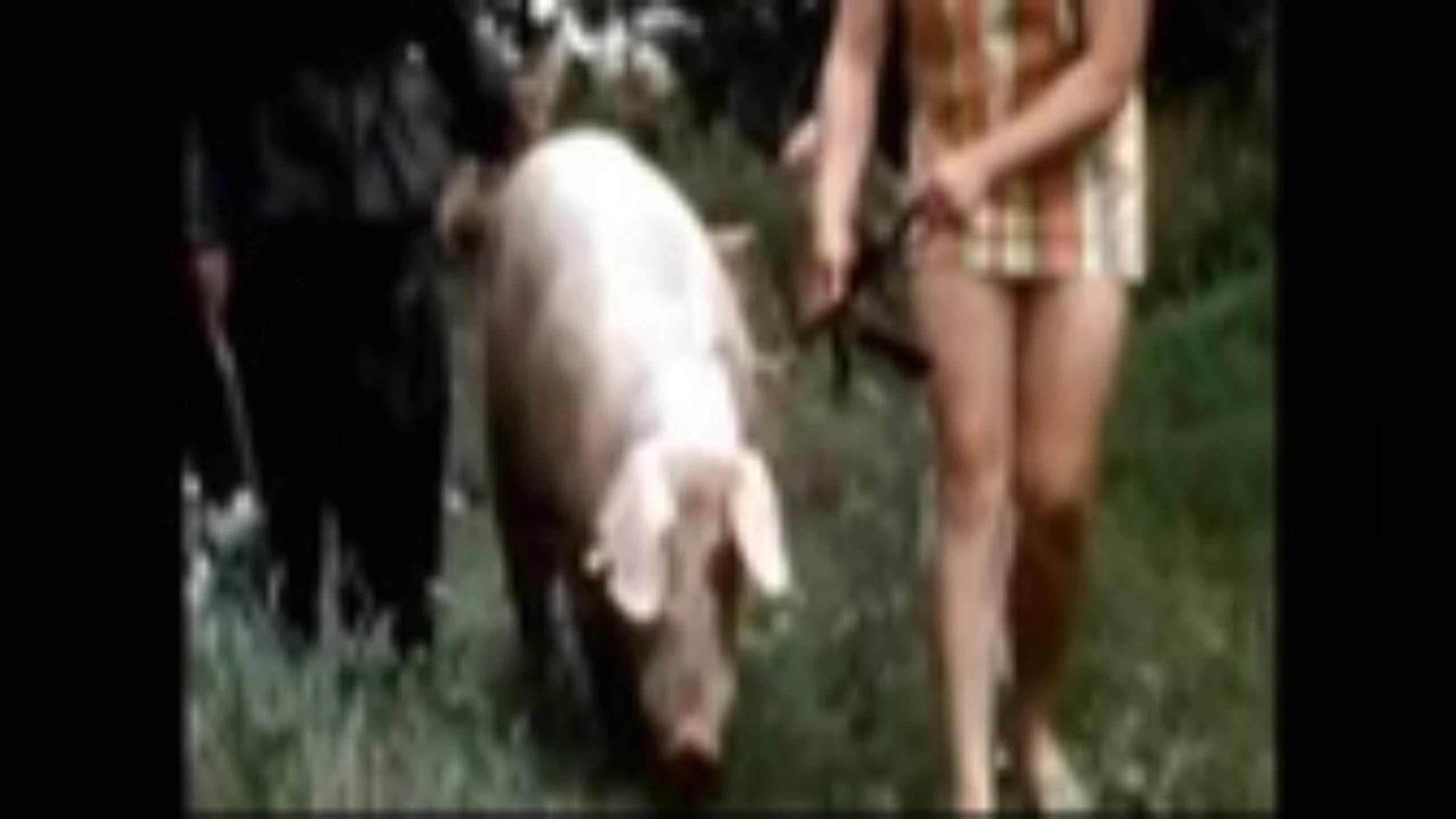 The Real Animal Farm