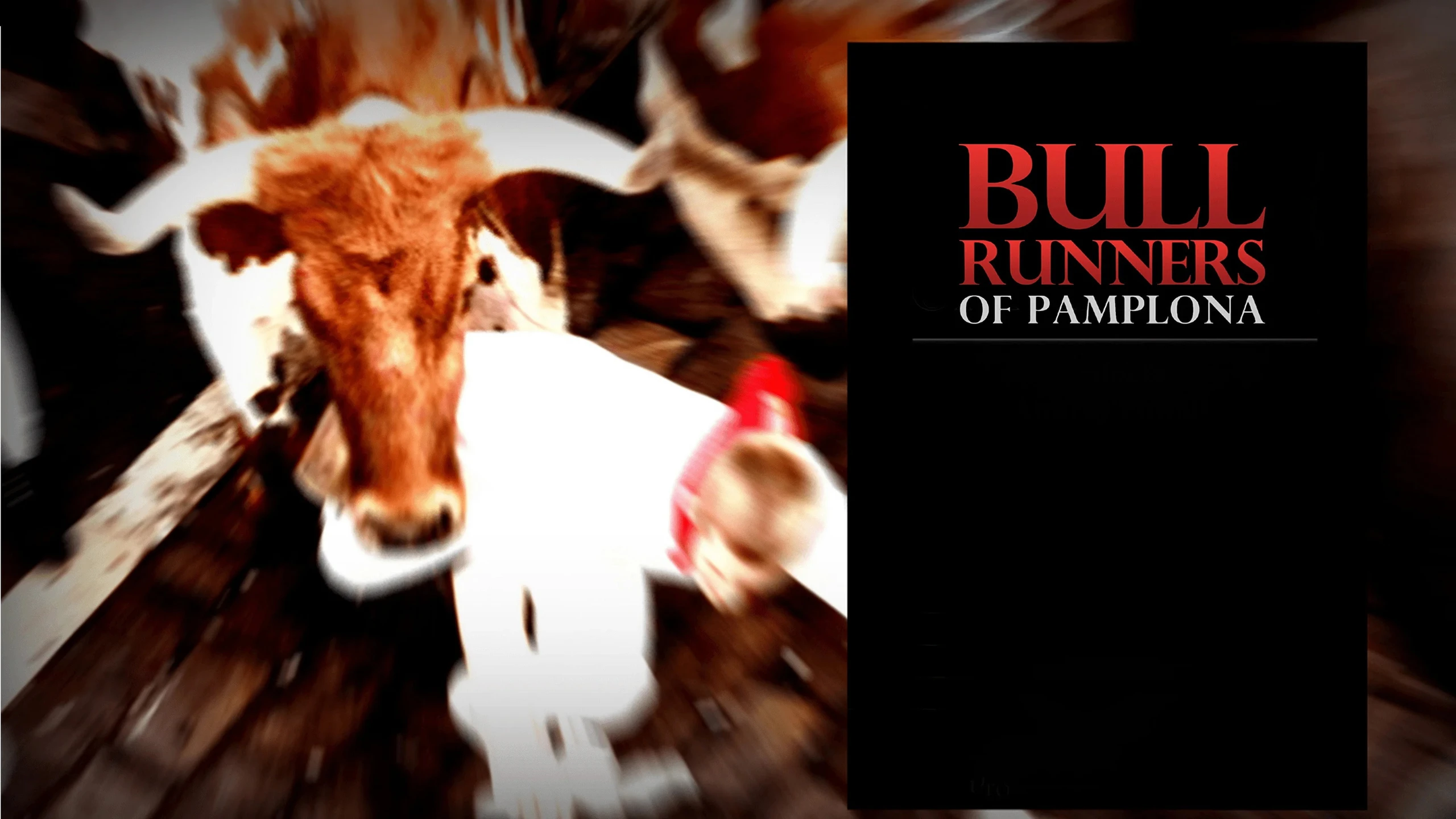 Bull Runners of Pamplona
