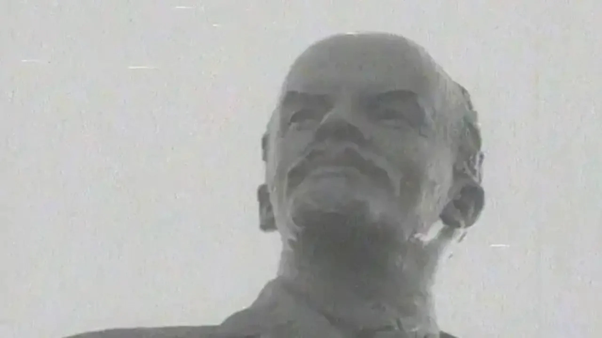 Amar Lenin