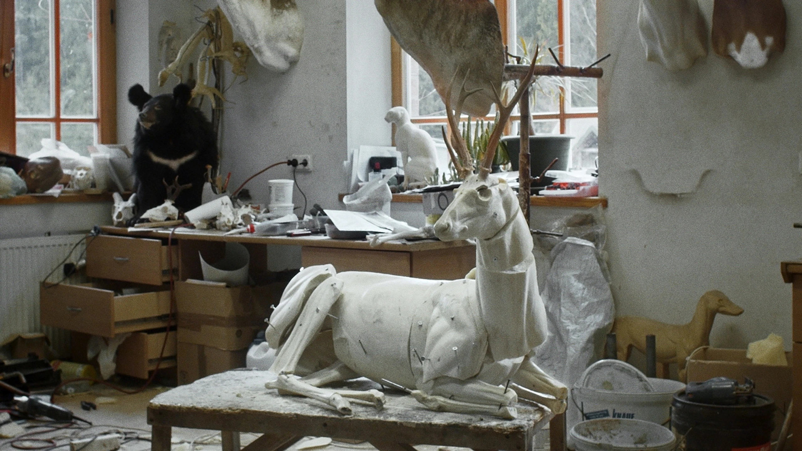 Animus Animalis (A Story about People, Animals and Things)