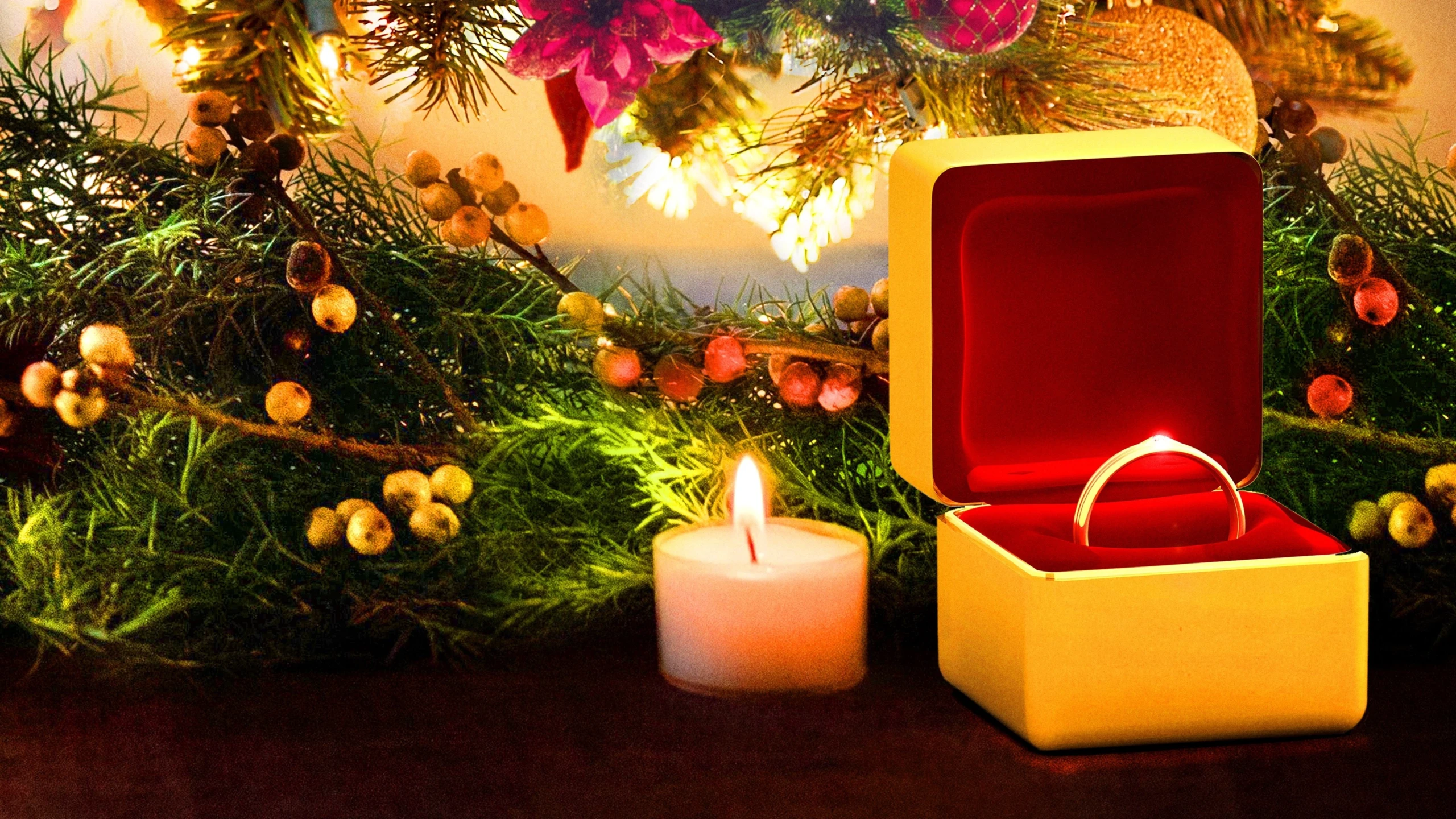 A Christmas Proposal