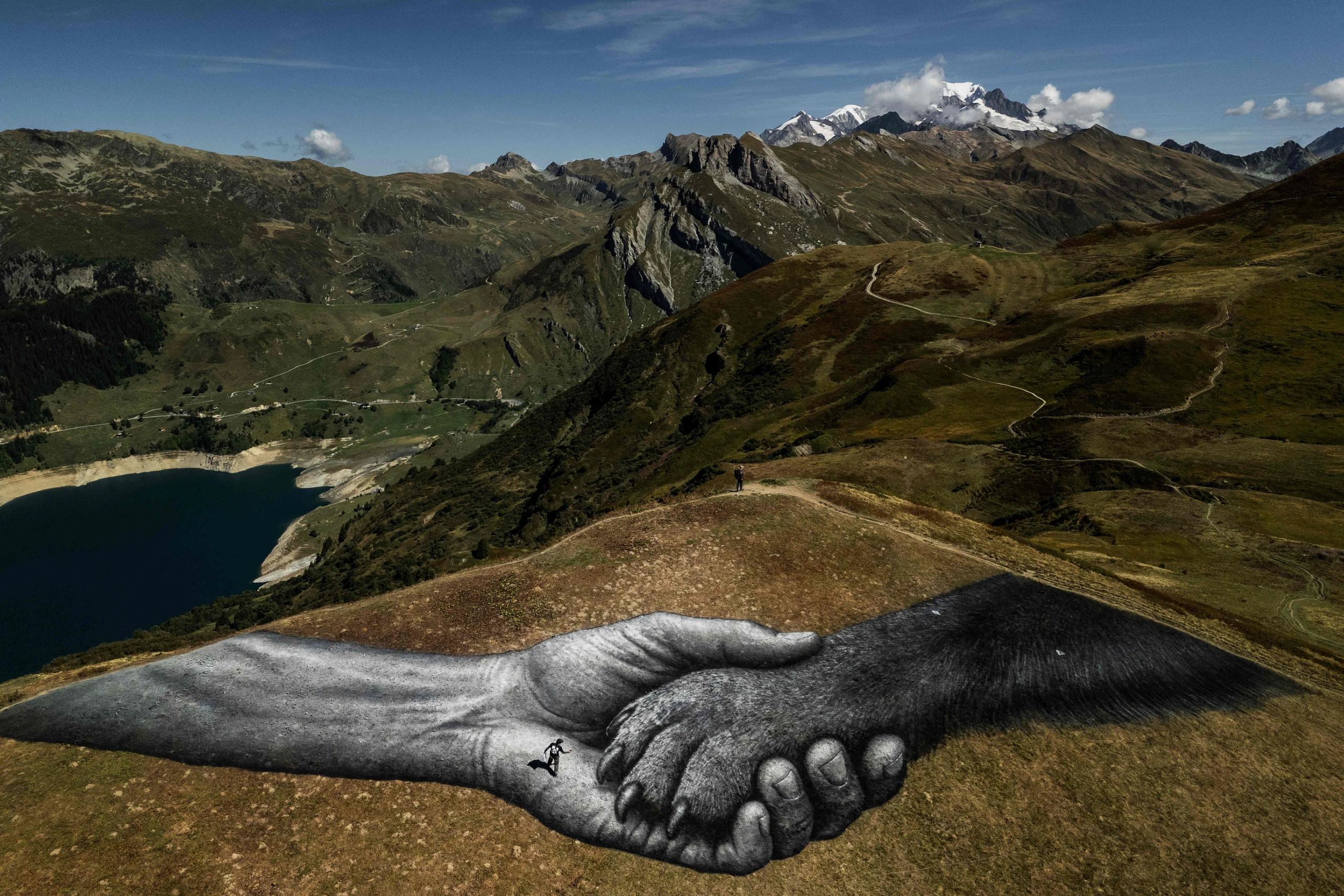 Bilder des Tages